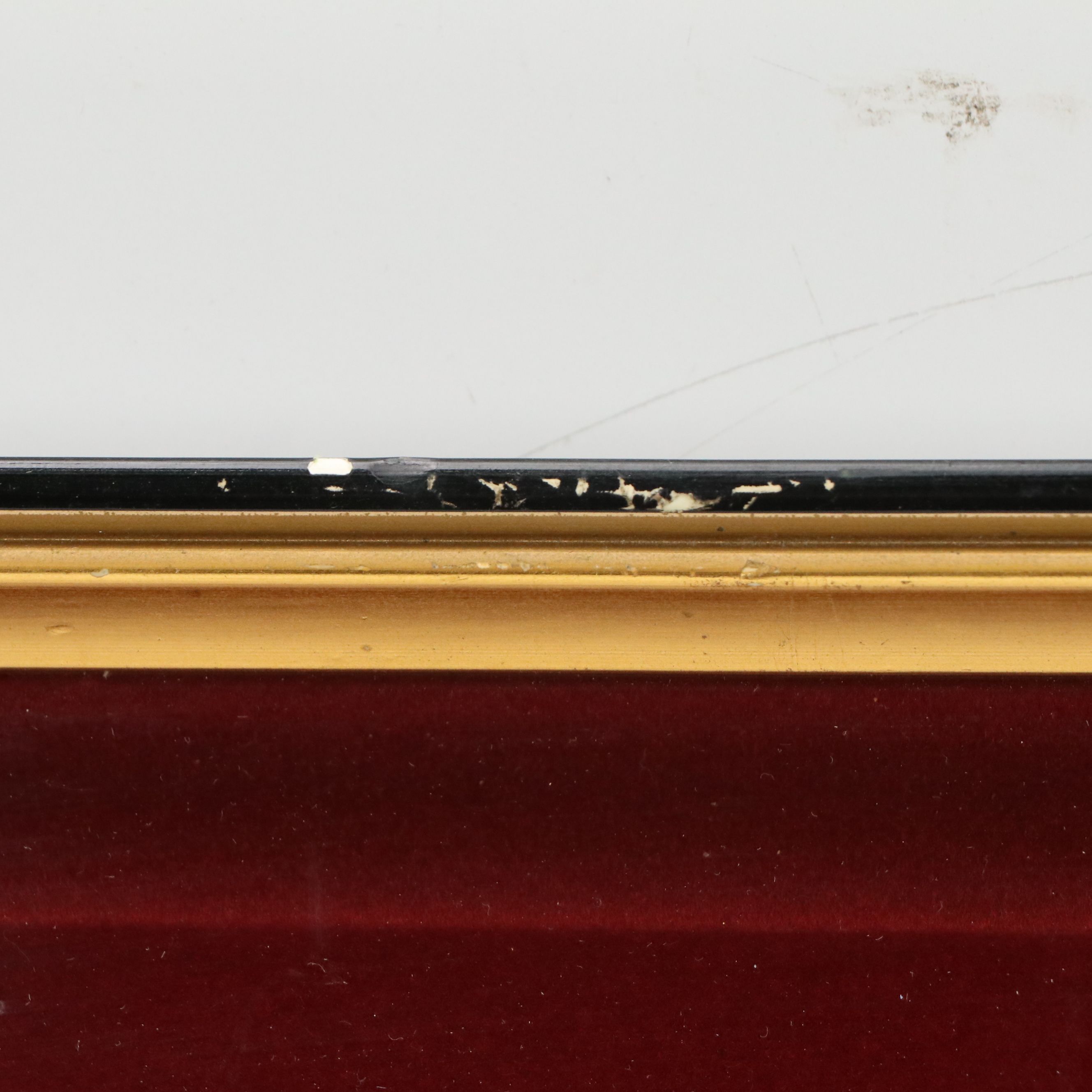 East Asian Watercolor Paintings of Tiger Portraits