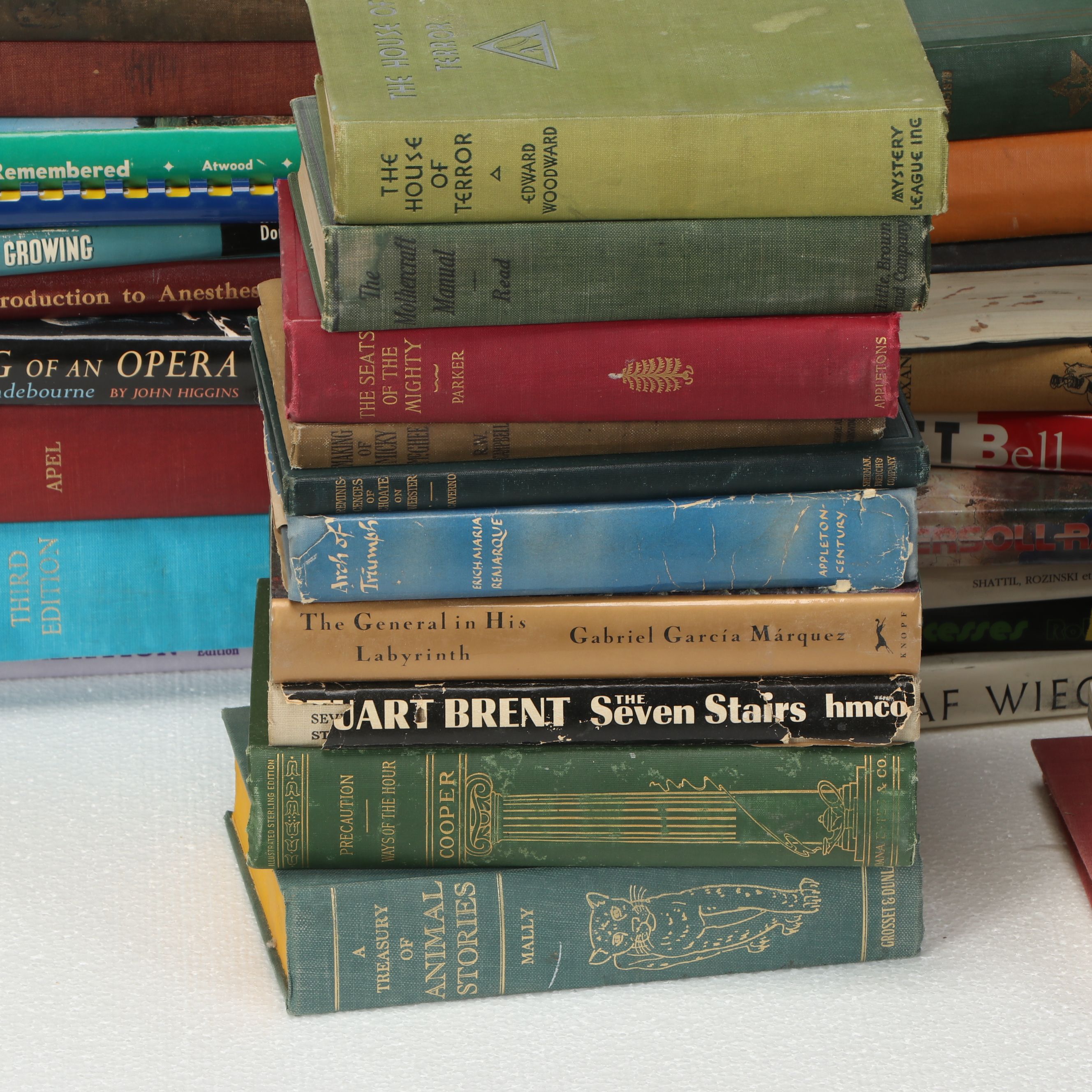 Uncommon Discoveries: Diverse Library of Fiction & Non-Fiction