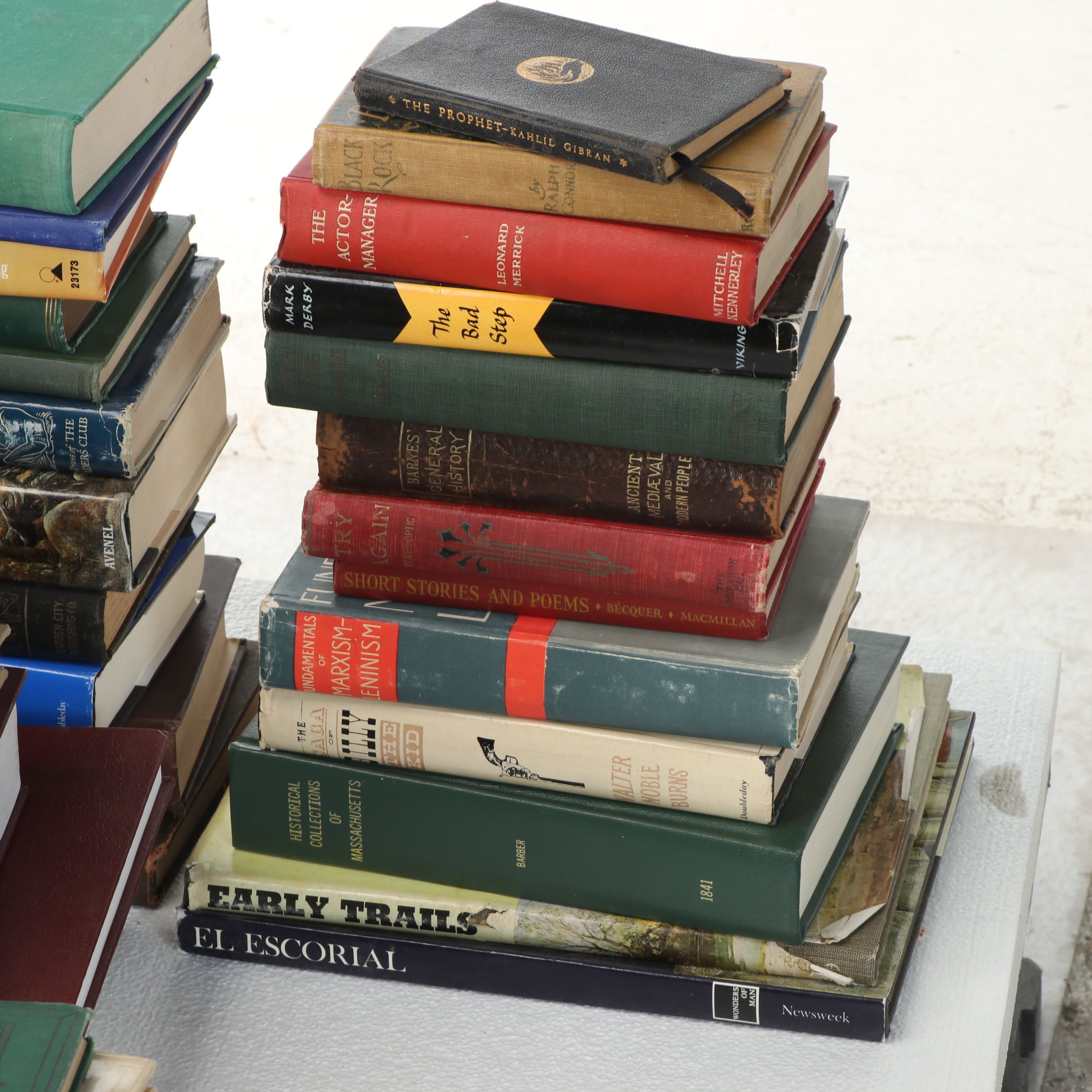 Uncommon Discoveries: Diverse Library of Fiction & Non-Fiction