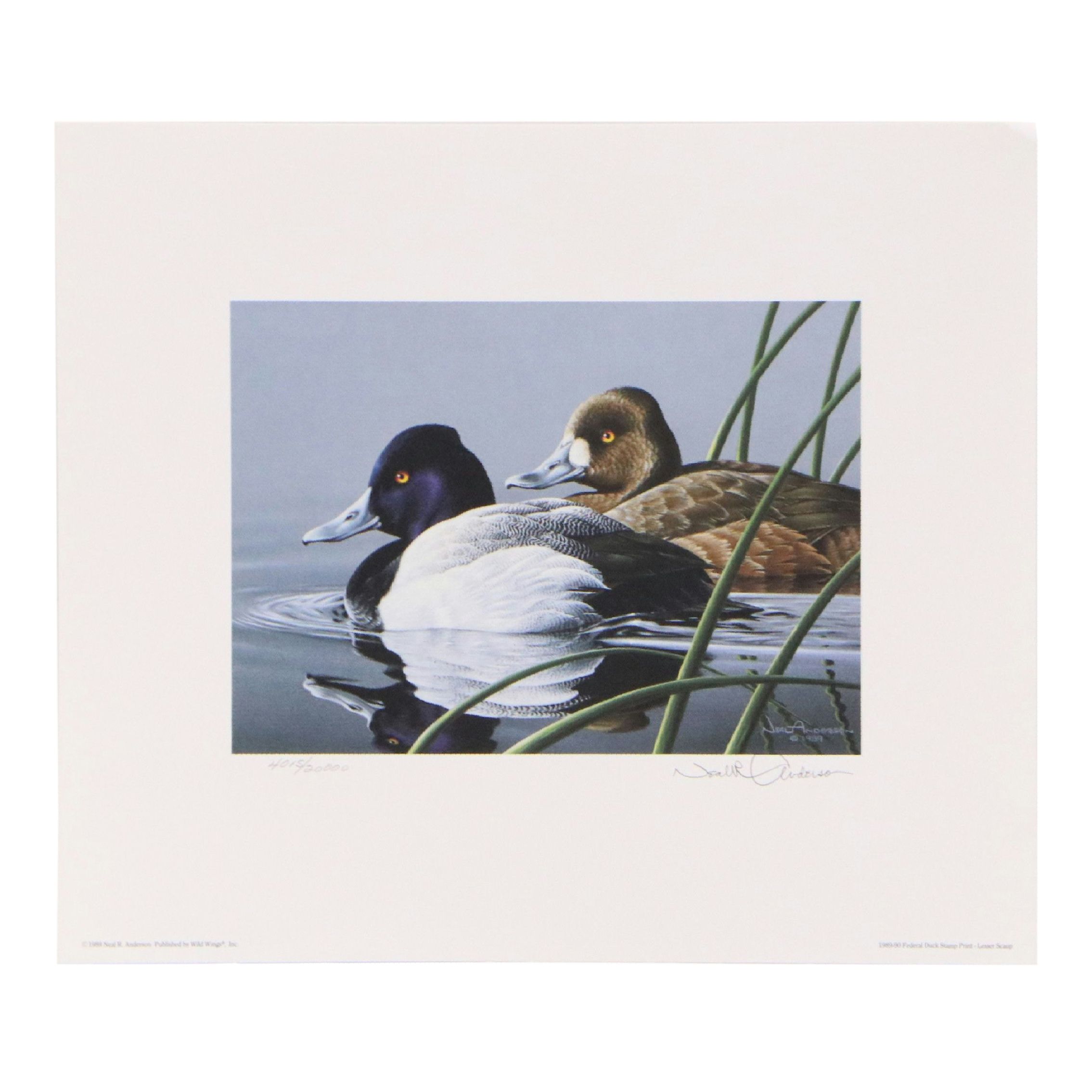 Burton E. Moore and Neal Anderson Offset Lithograph Duck Stamp Prints