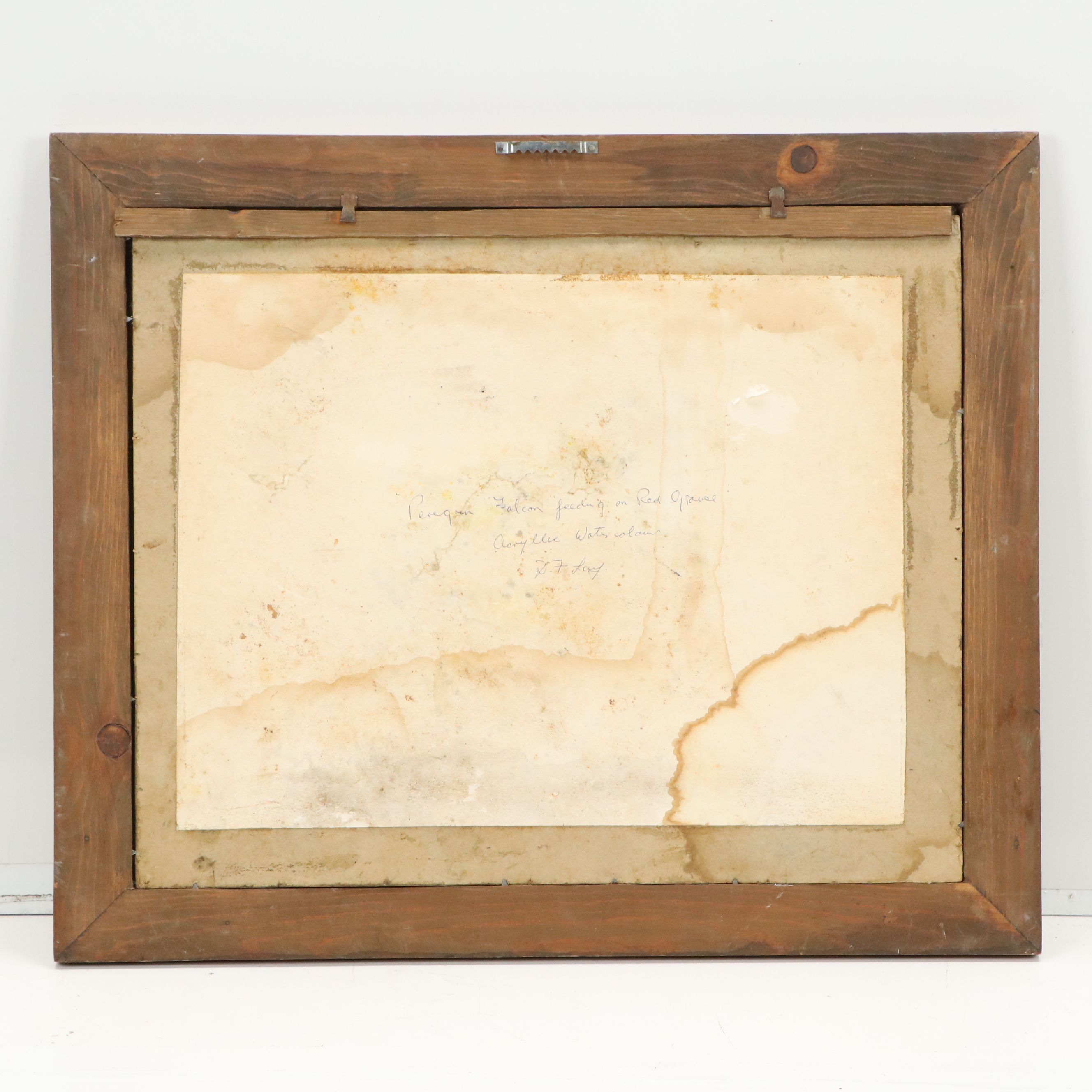 D. F. Lay Watercolor Painting of Peregrine Falcon Feeding on Red Grouse