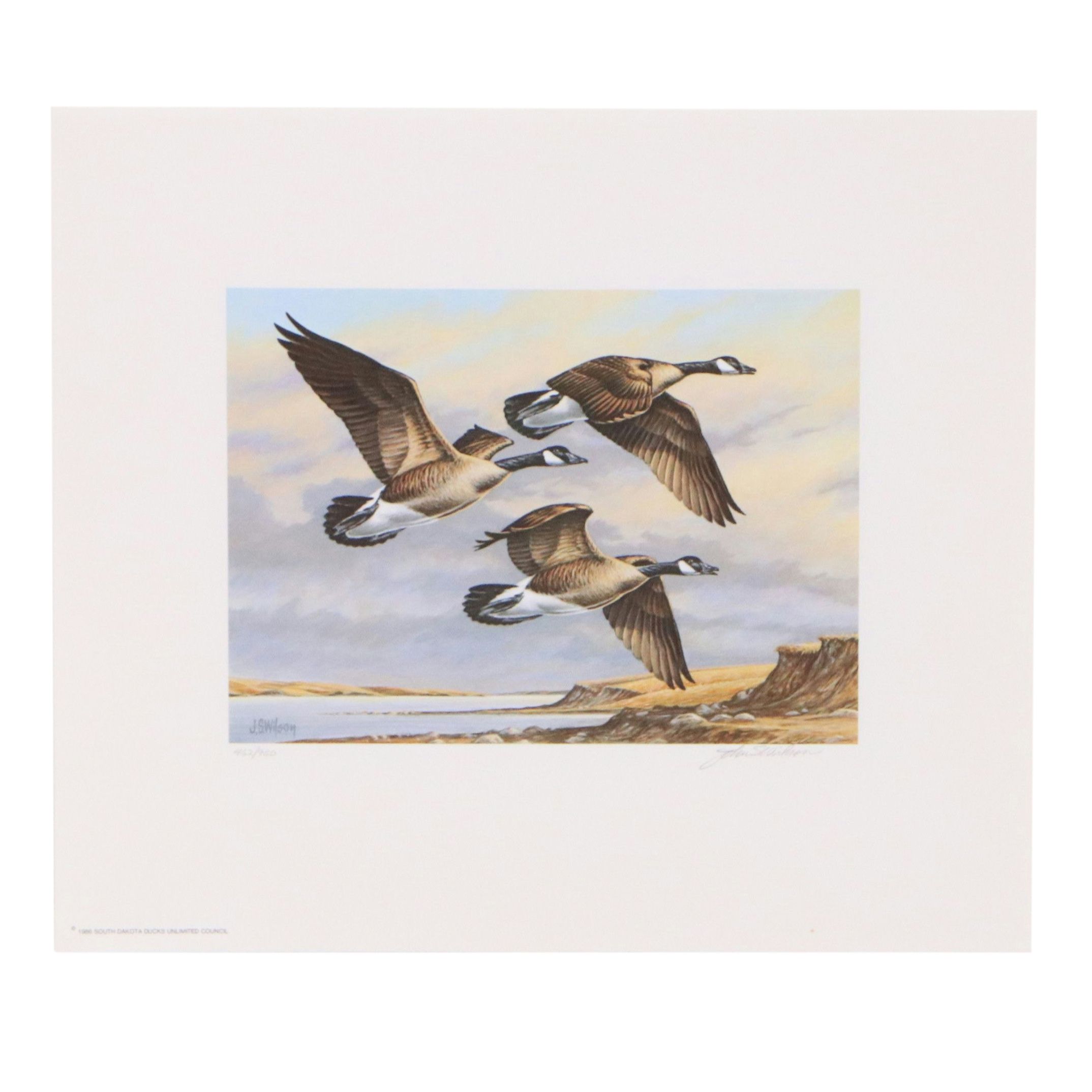 Marion Toillion and Rosemary Millette Offset Lithograph Duck Stamp Prints
