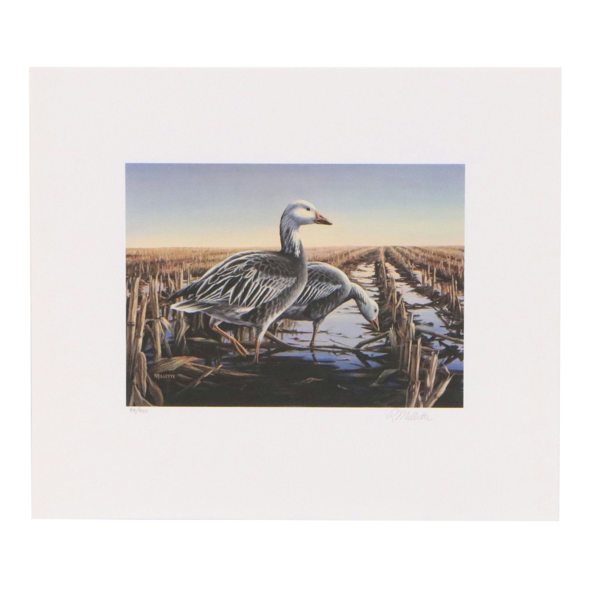 Marion Toillion and Rosemary Millette Offset Lithograph Duck Stamp Prints