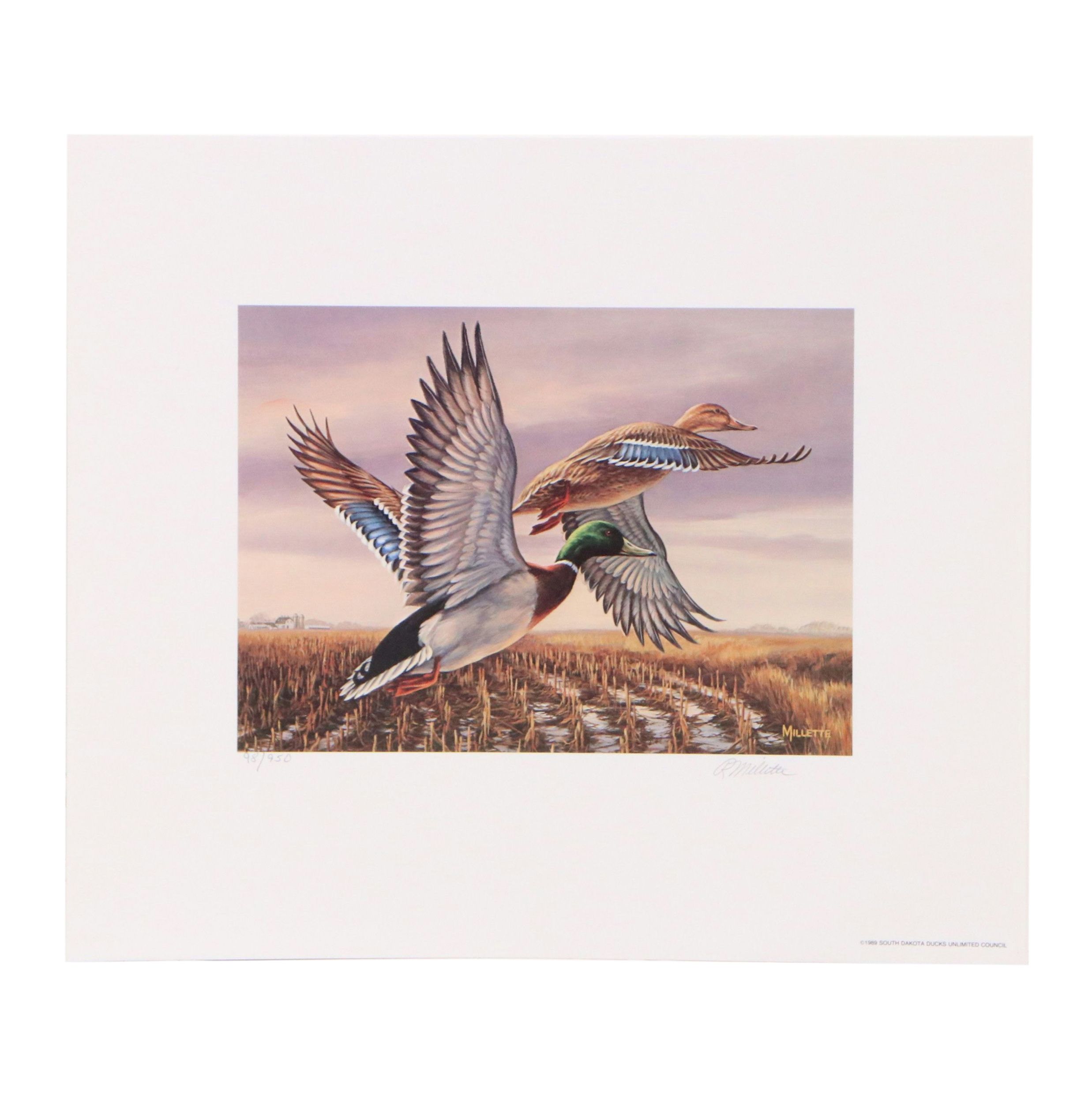 Marion Toillion and Rosemary Millette Offset Lithograph Duck Stamp Prints