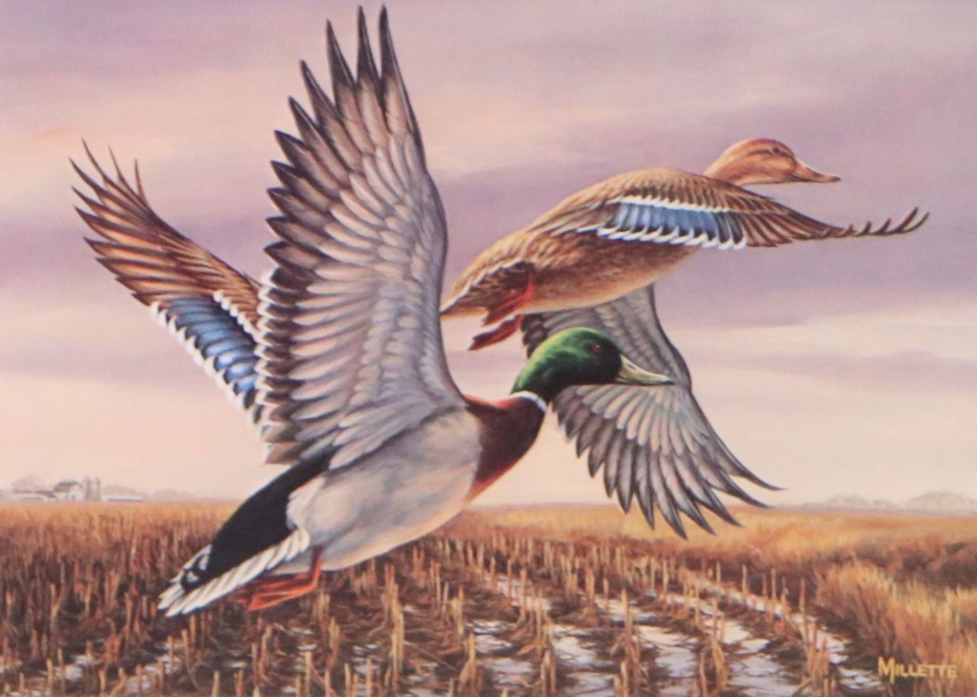 Marion Toillion and Rosemary Millette Offset Lithograph Duck Stamp Prints