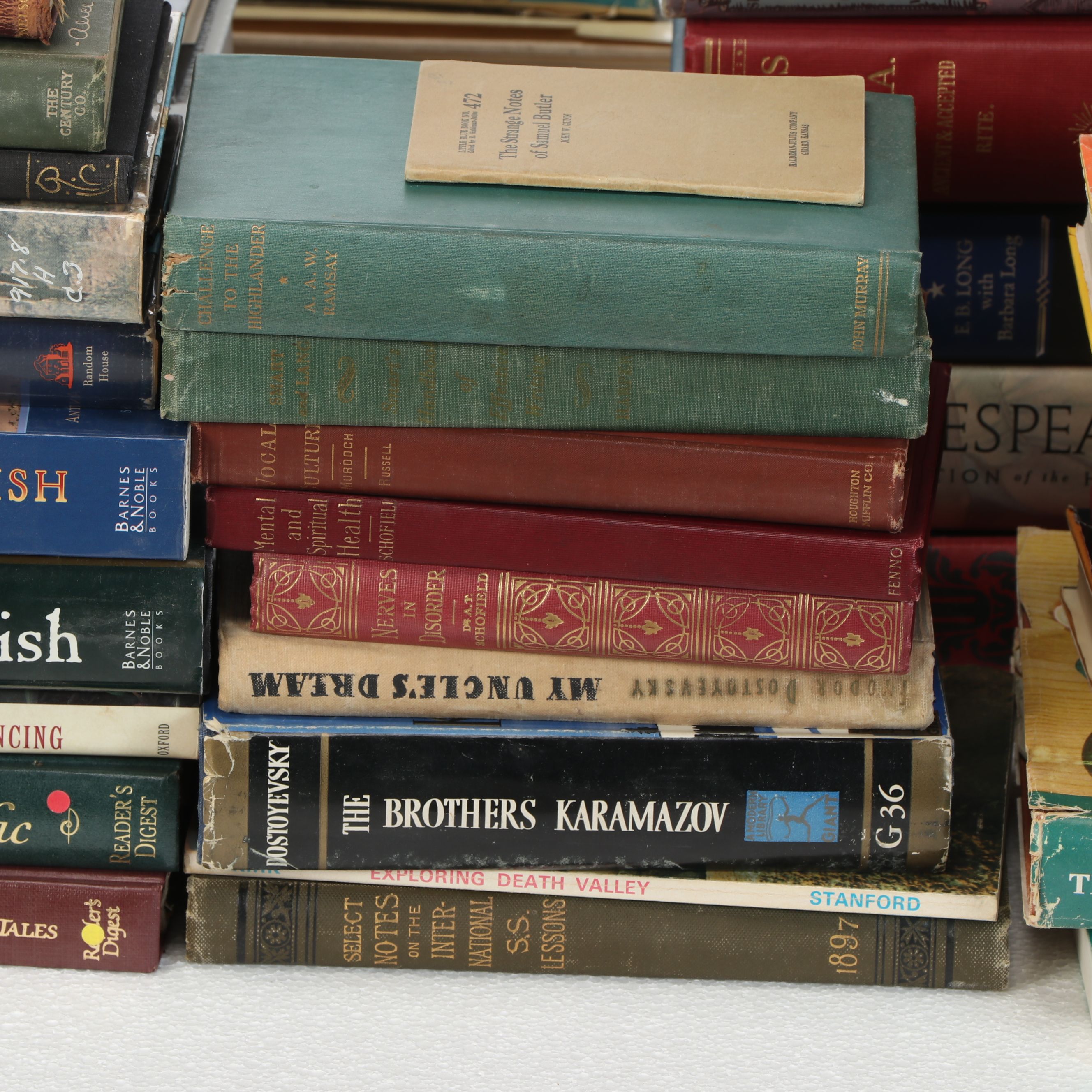 Uncommon Discoveries: Diverse Library of Fiction & Non-Fiction