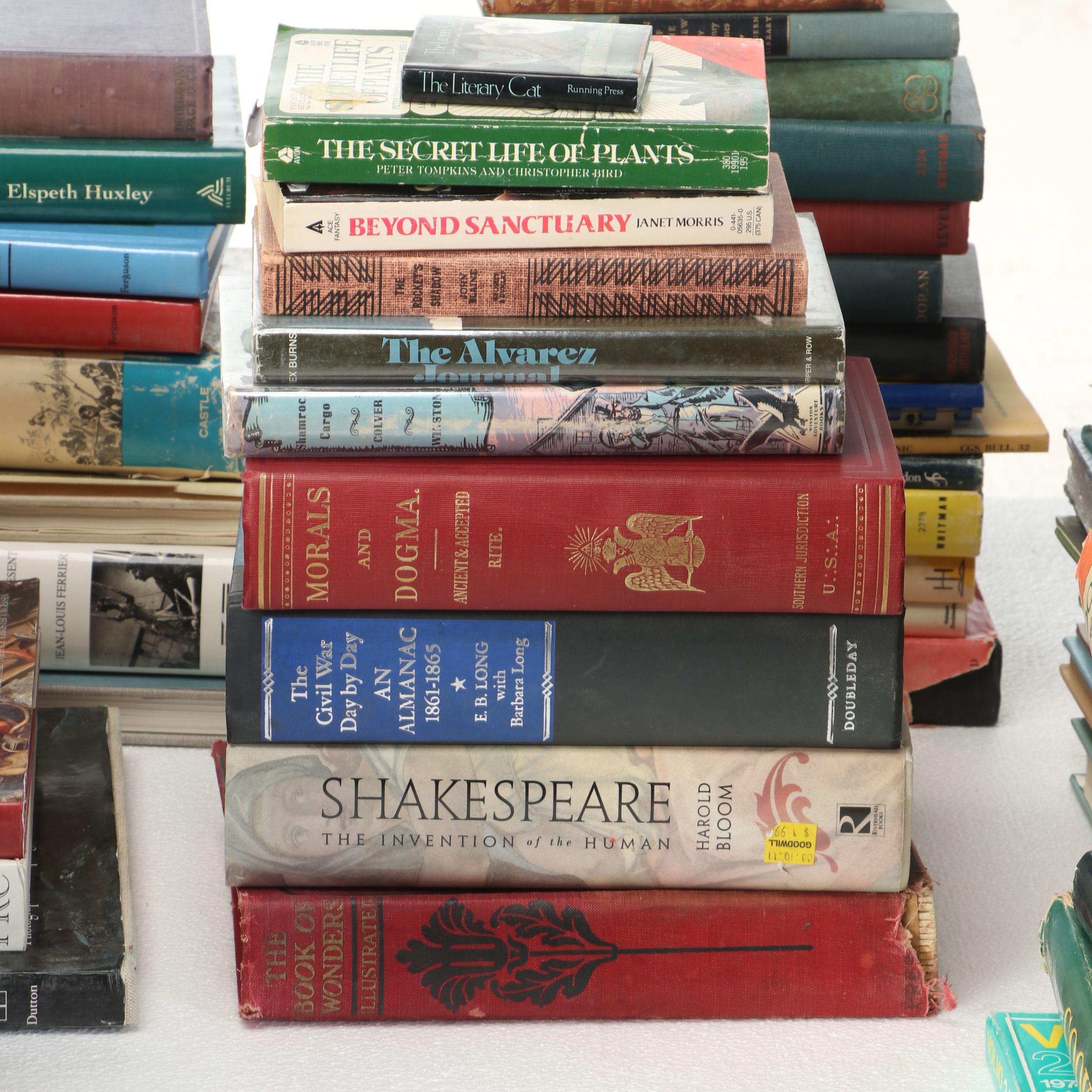 Uncommon Discoveries: Diverse Library of Fiction & Non-Fiction