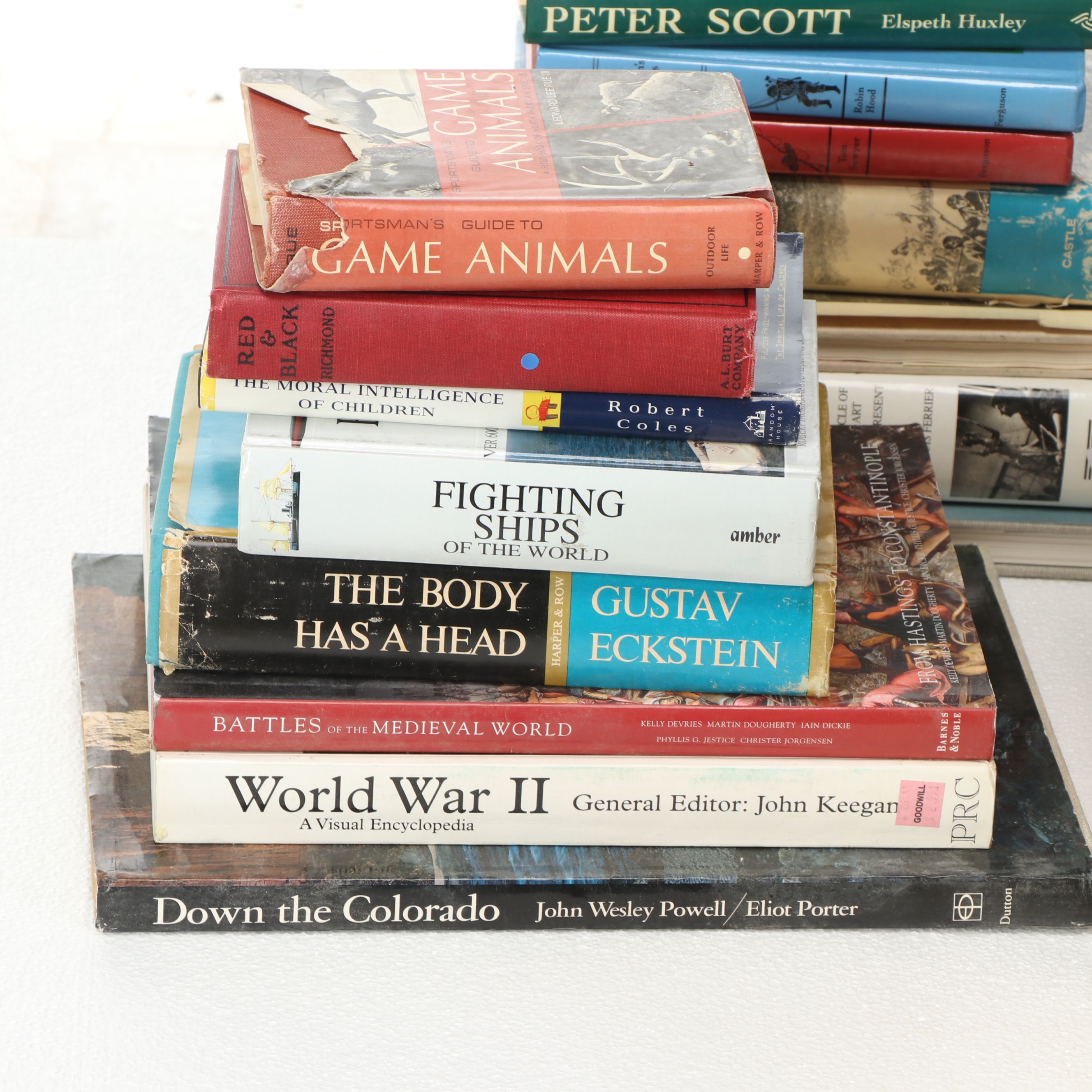 Uncommon Discoveries: Diverse Library of Fiction & Non-Fiction