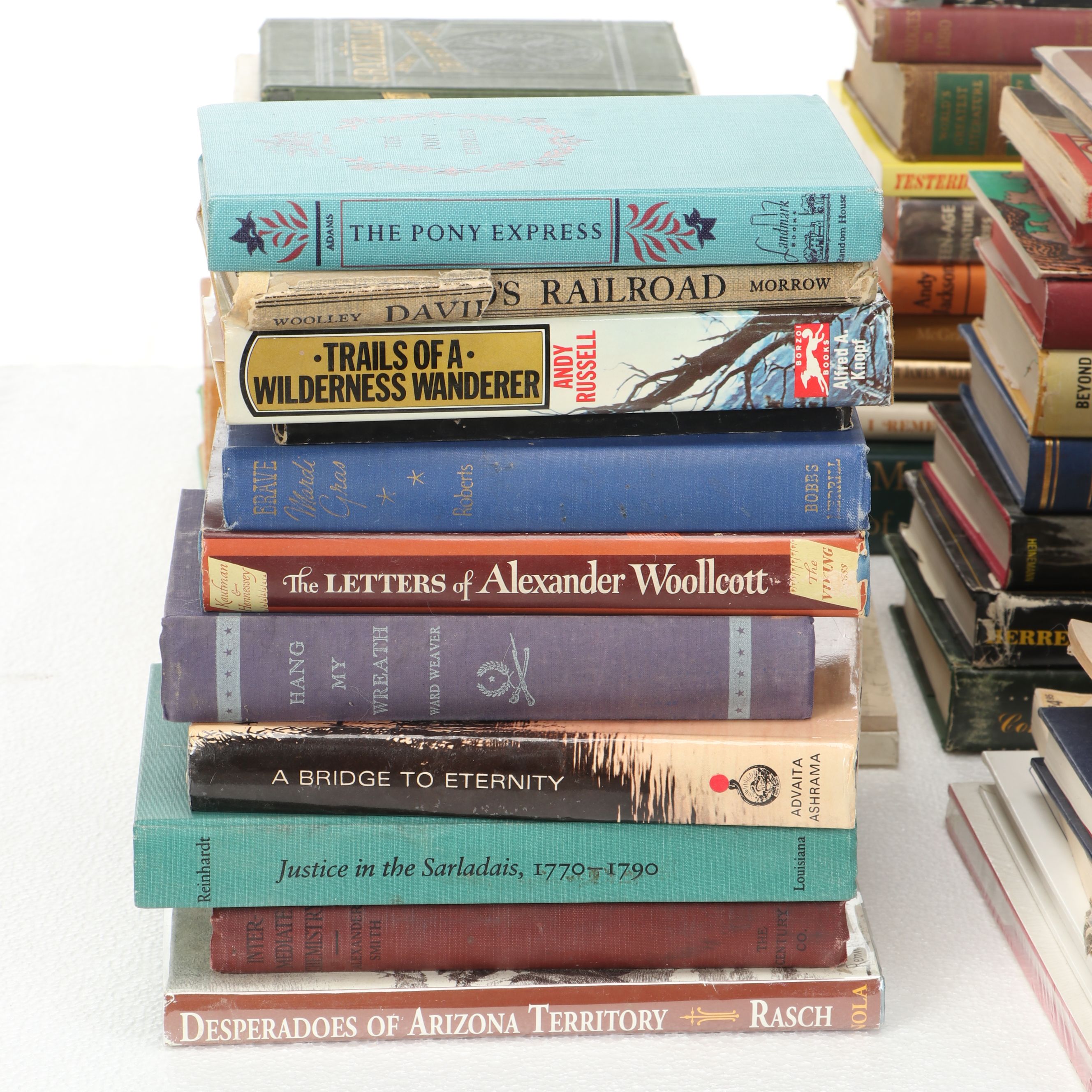 Uncommon Discoveries: Diverse Library of Fiction & Non-Fiction