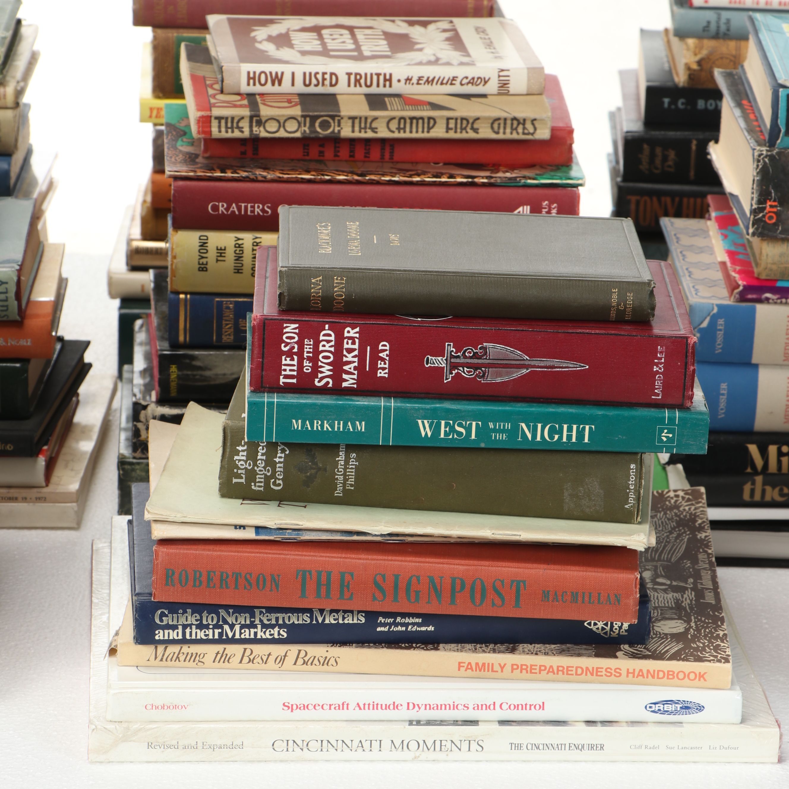 Uncommon Discoveries: Diverse Library of Fiction & Non-Fiction