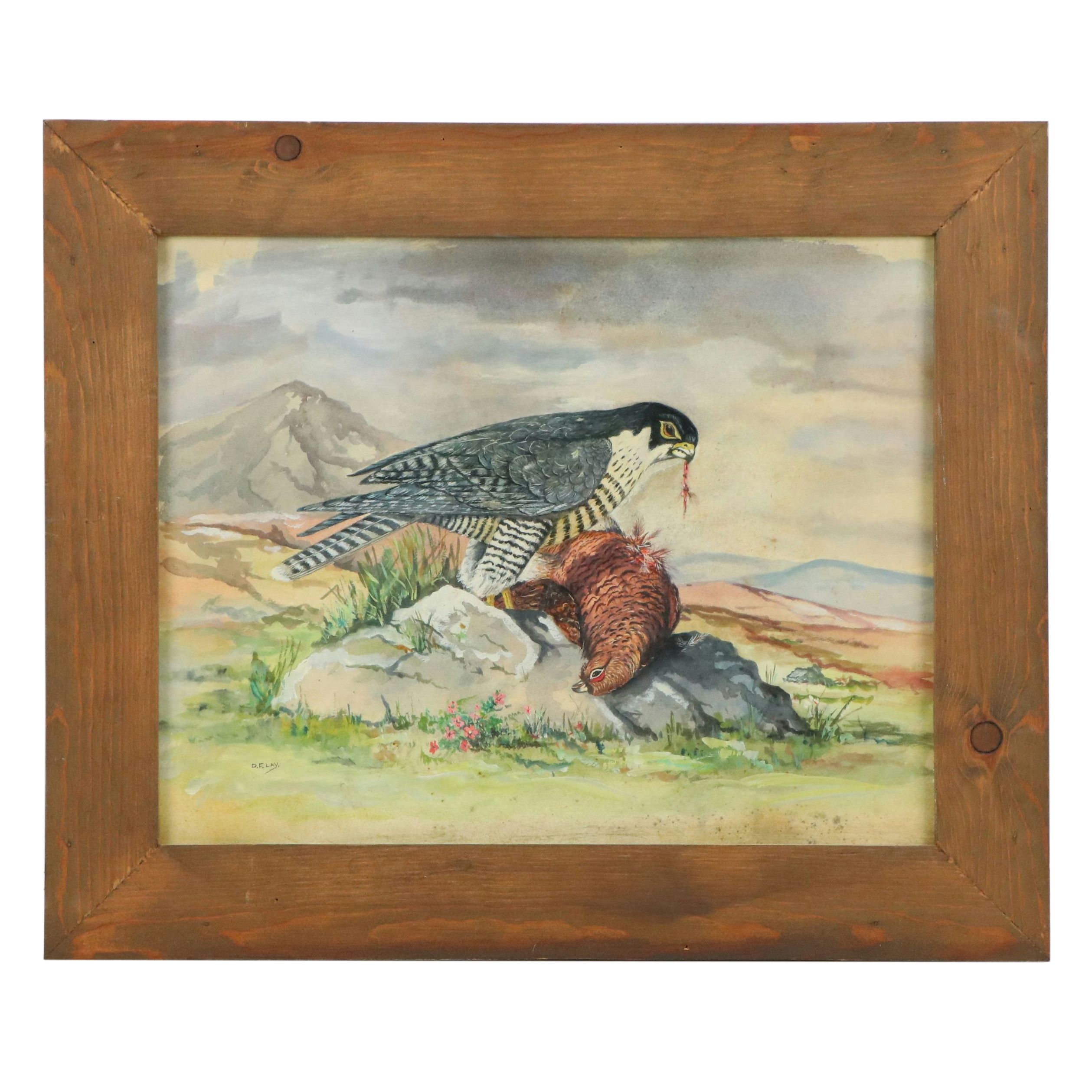 D. F. Lay Watercolor Painting of Peregrine Falcon Feeding on Red Grouse