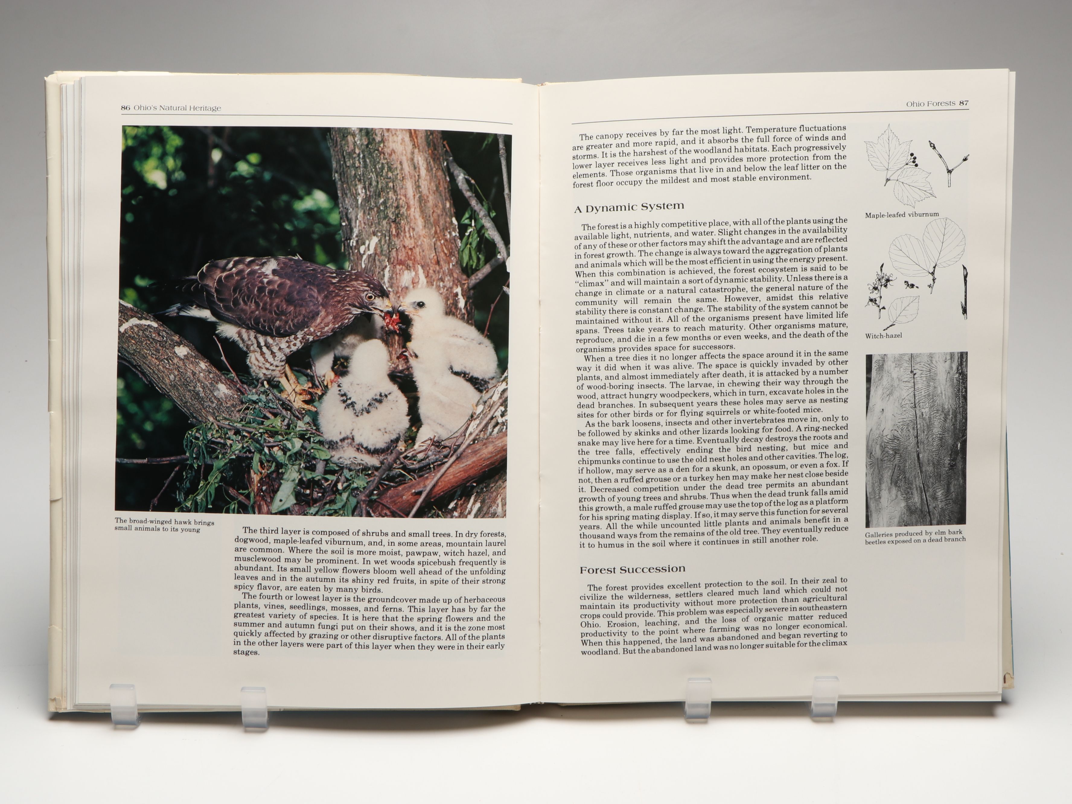 Cincinnati Historical Society "Portrait of 200 Years" and More Cincinnati Books