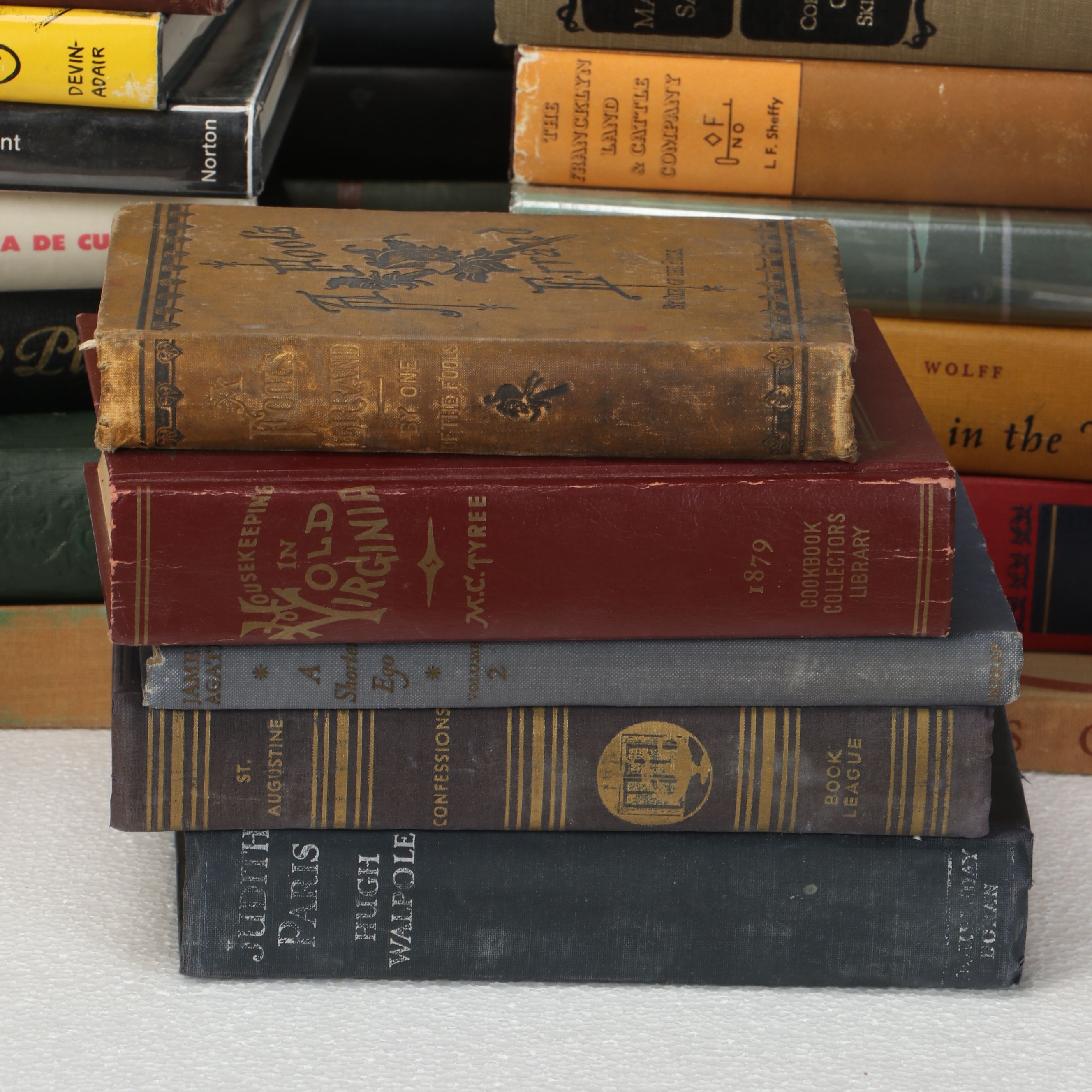 Uncommon Discoveries: Diverse Library of Fiction & Non-Fiction