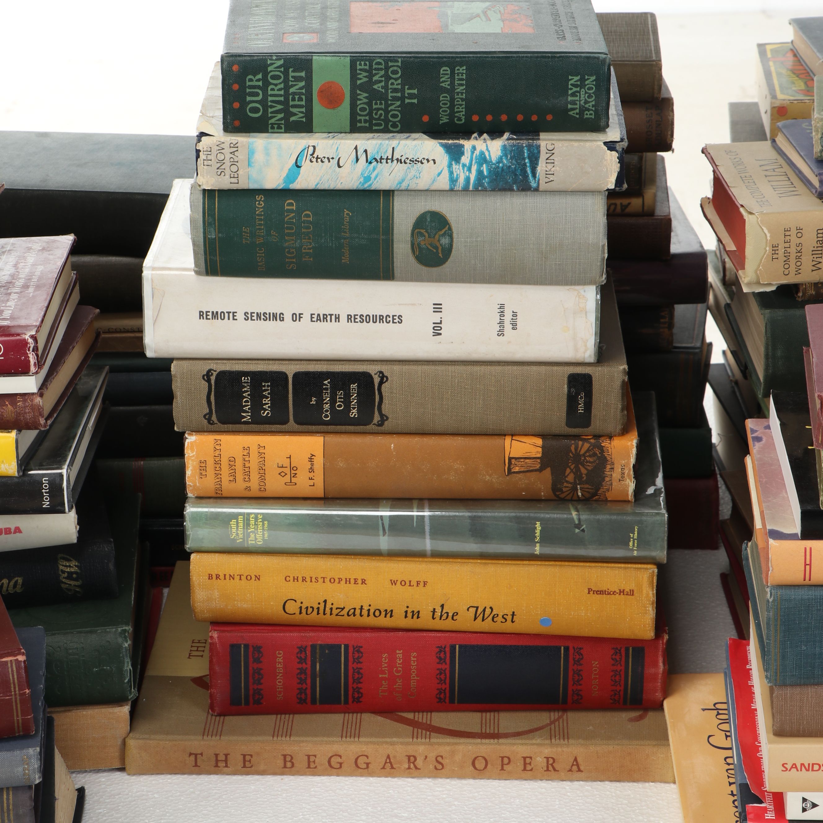 Uncommon Discoveries: Diverse Library of Fiction & Non-Fiction