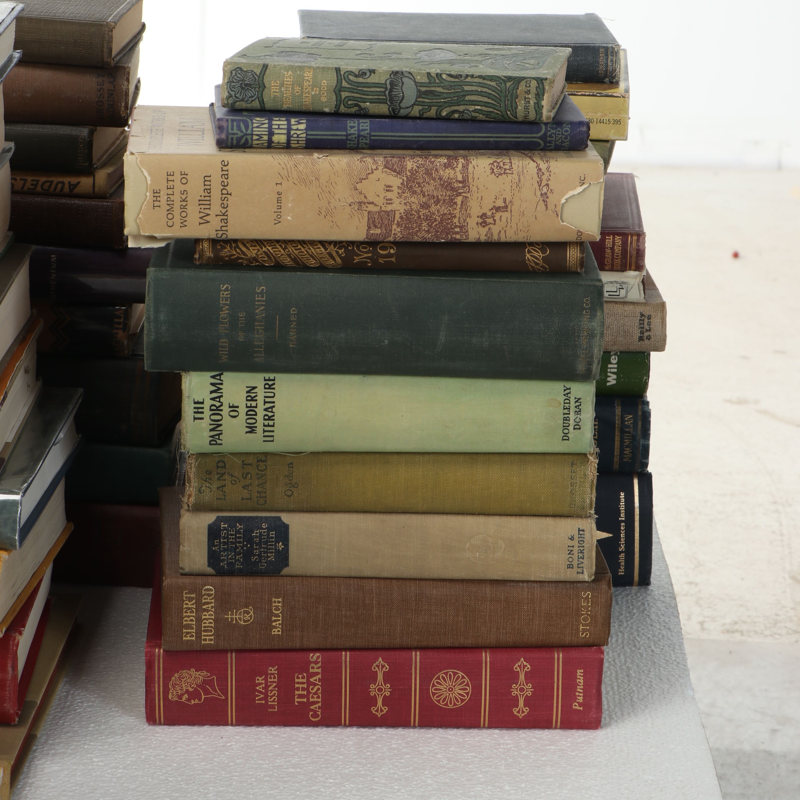 Uncommon Discoveries: Diverse Library of Fiction & Non-Fiction