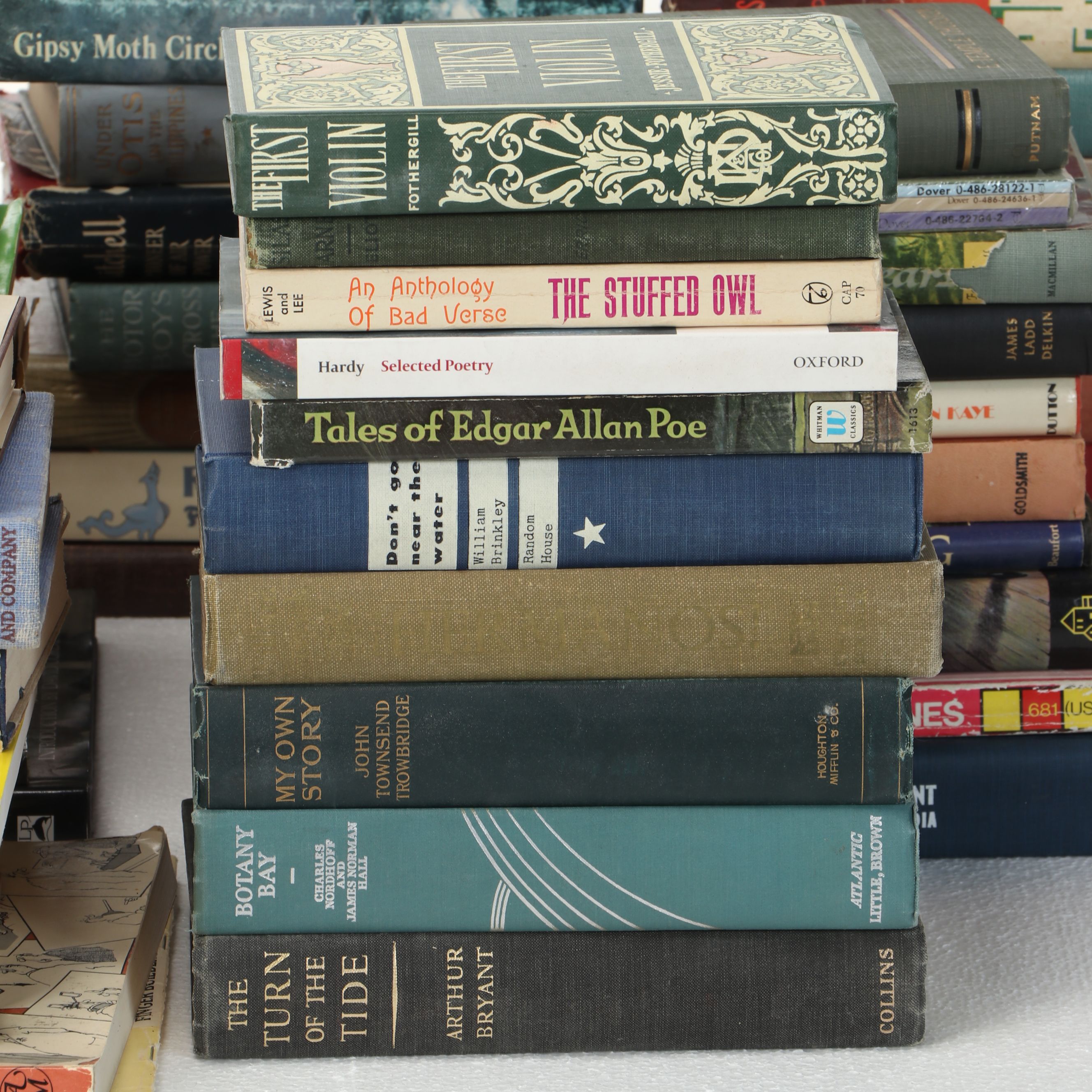 Uncommon Discoveries: Diverse Library of Fiction & Non-Fiction