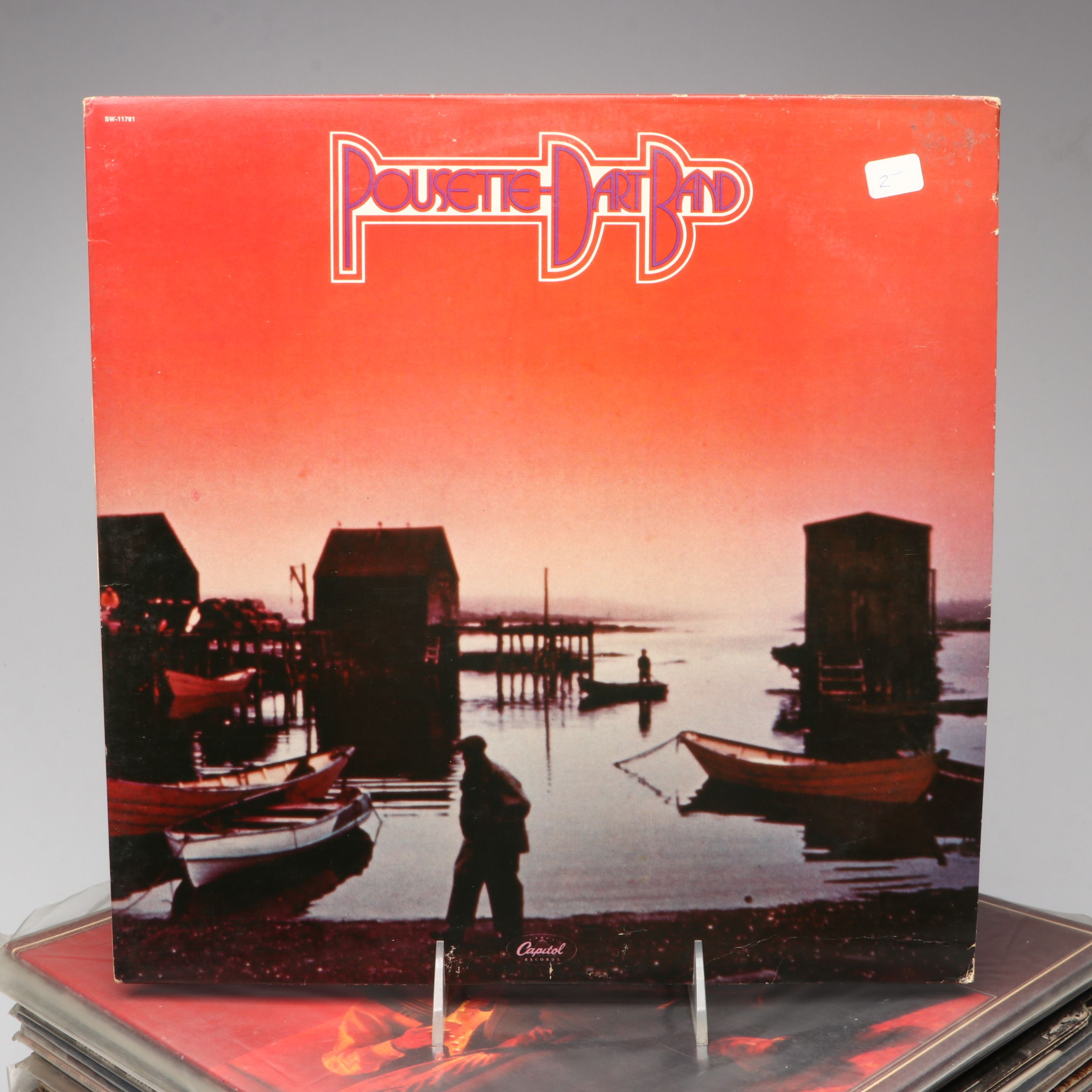 The Beatles, Bee Gees, Fleetwood Mac and Other Vinyl Record Albums