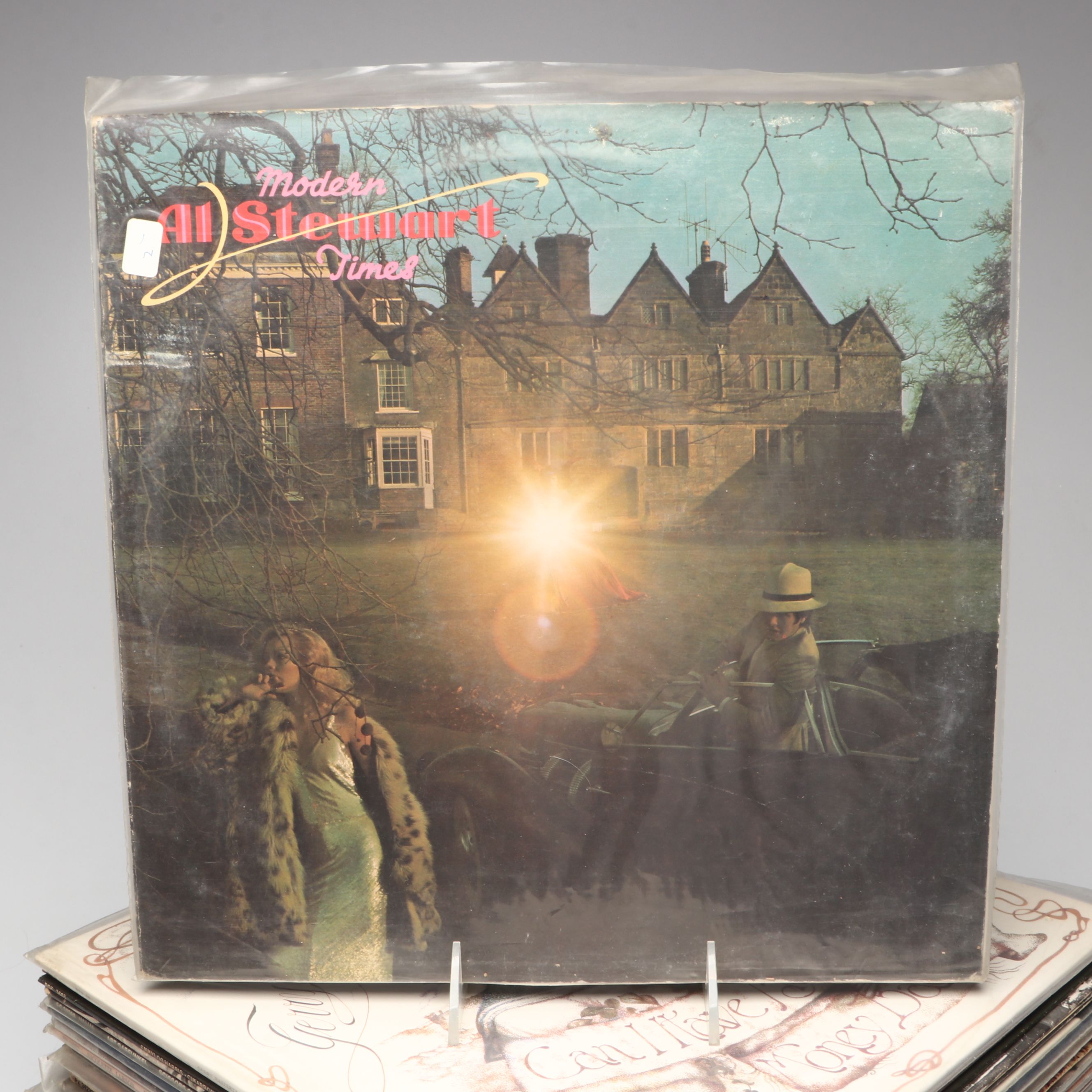 The Beatles, Bee Gees, Fleetwood Mac and Other Vinyl Record Albums