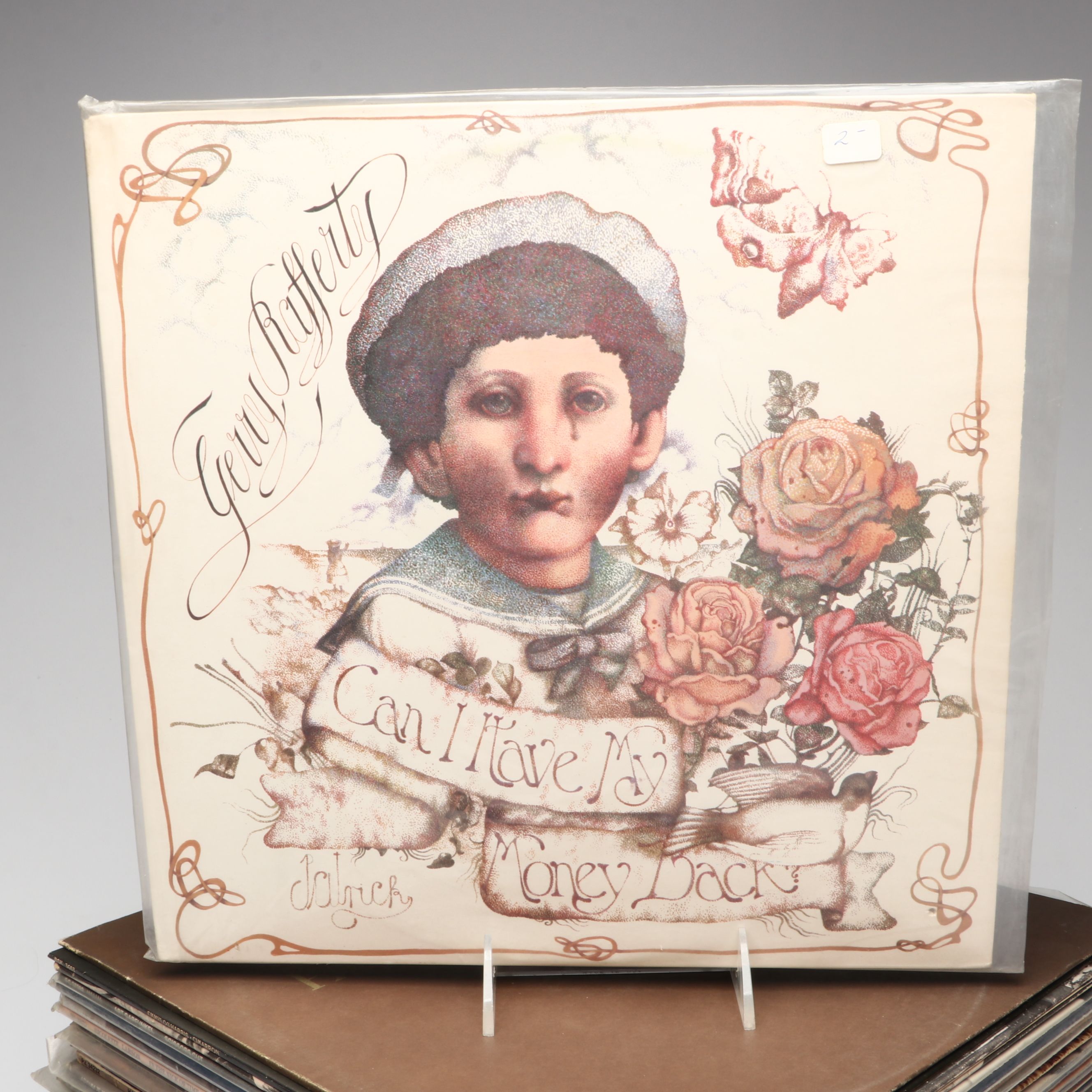 The Beatles, Bee Gees, Fleetwood Mac and Other Vinyl Record Albums