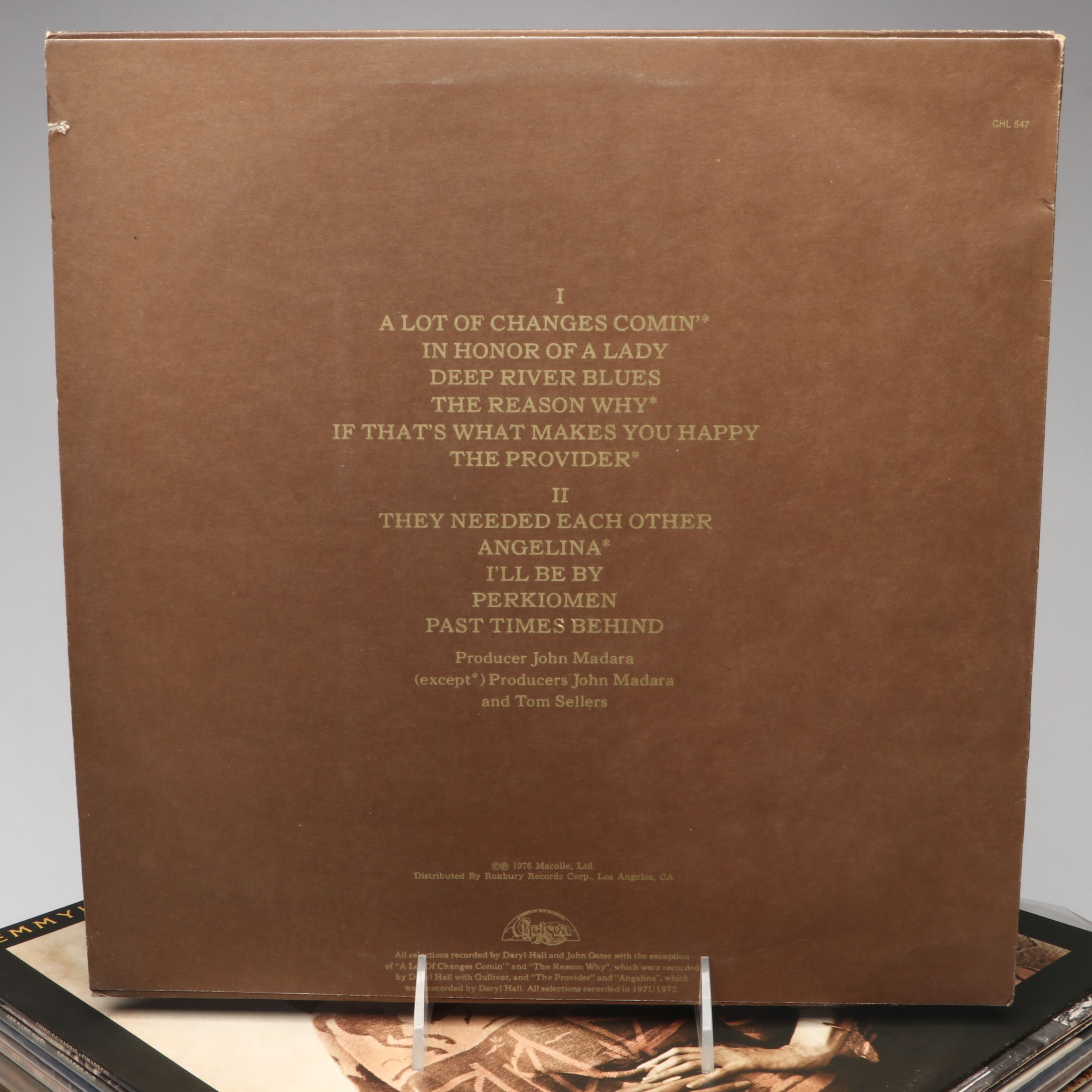 The Beatles, Bee Gees, Fleetwood Mac and Other Vinyl Record Albums