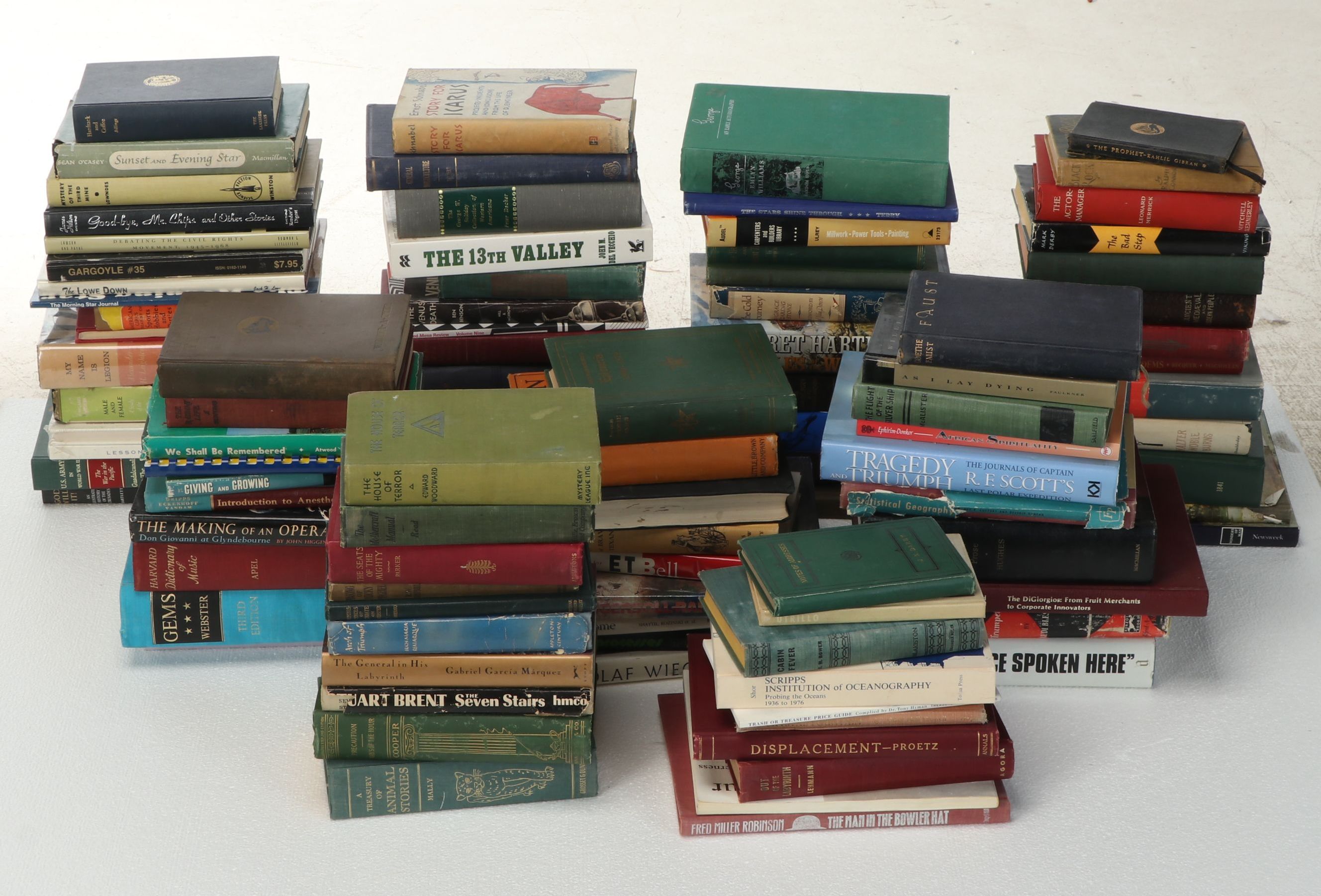 Uncommon Discoveries: Diverse Library of Fiction & Non-Fiction