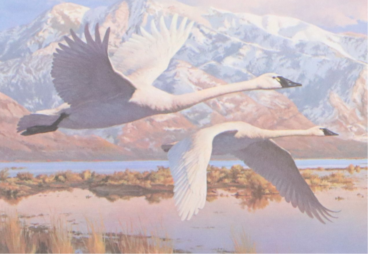 Leon Parson Utah Migratory Waterfowl Stamp and Offset Lithograph, 1986