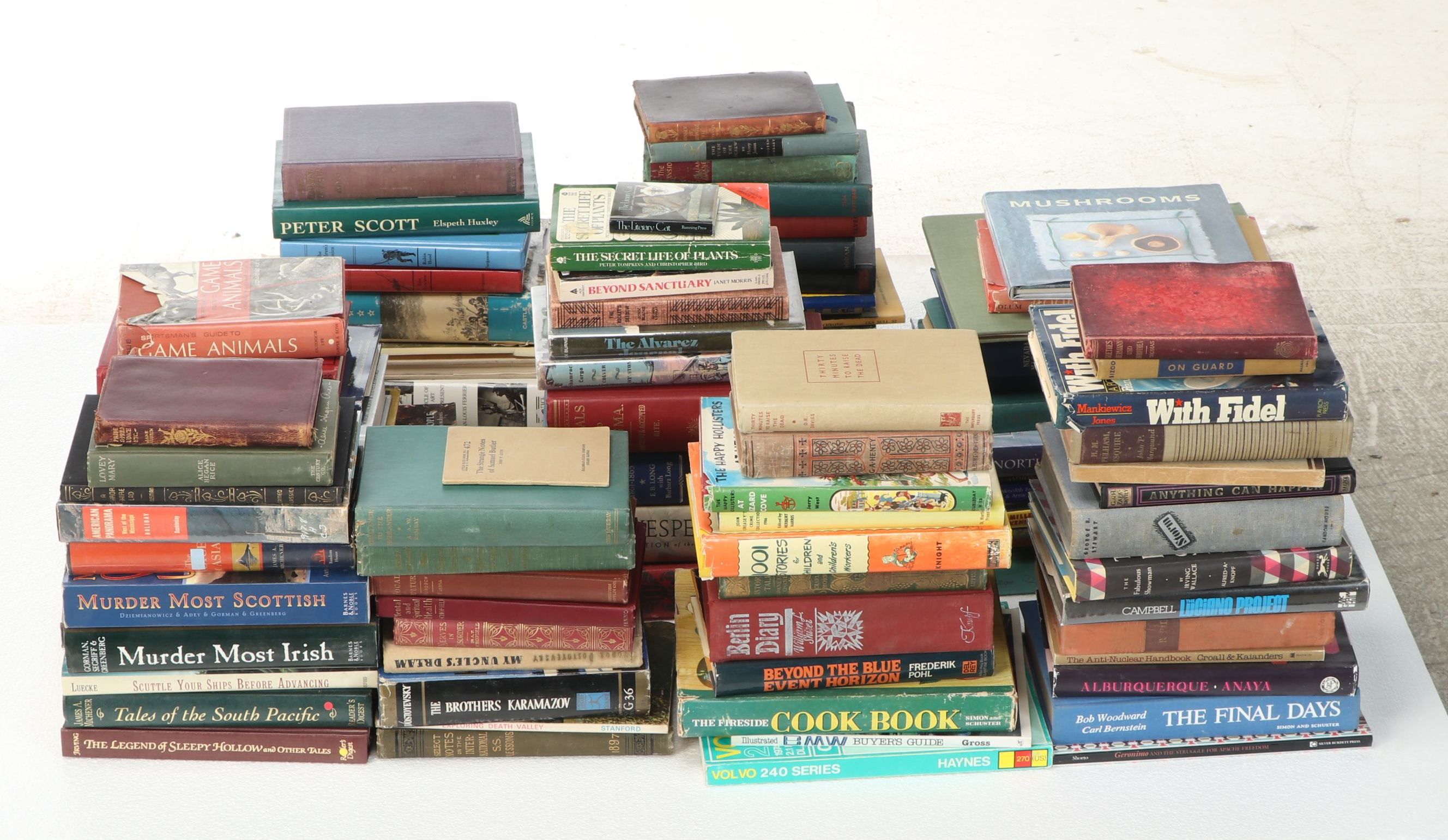 Uncommon Discoveries: Diverse Library of Fiction & Non-Fiction