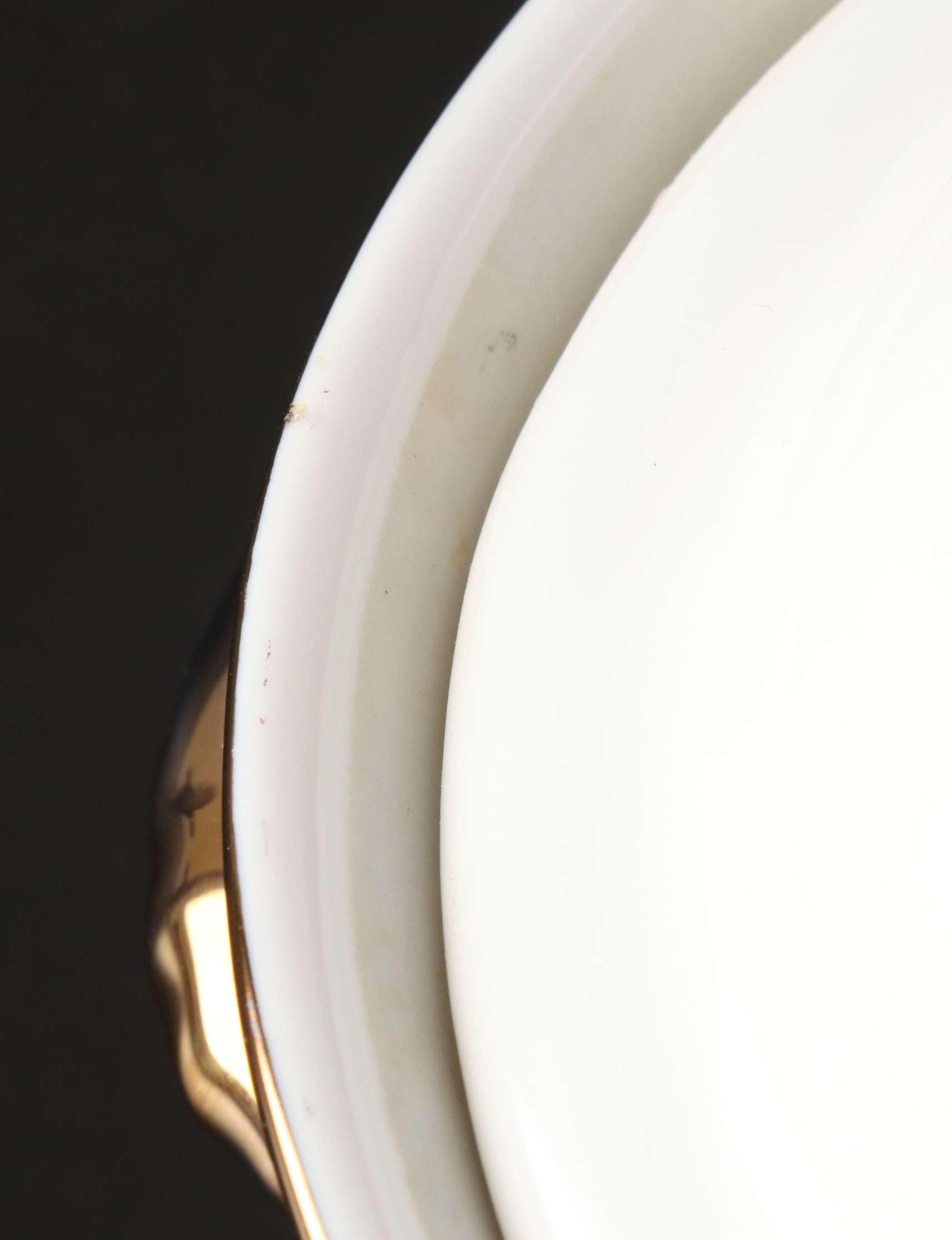 Pier 1 Gilt Trim Porcelain Dinnerware, 21st Century