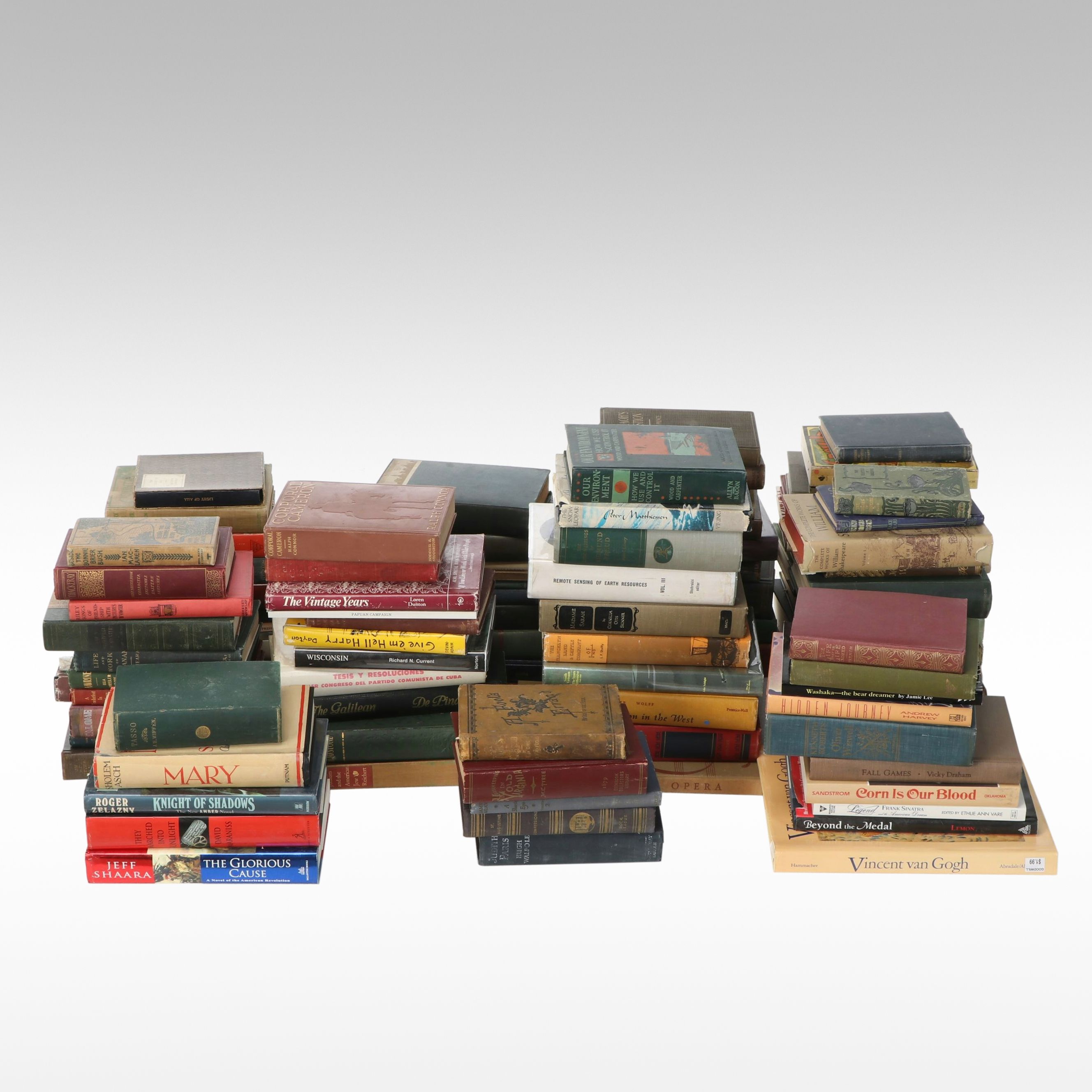 Uncommon Discoveries: Diverse Library of Fiction & Non-Fiction