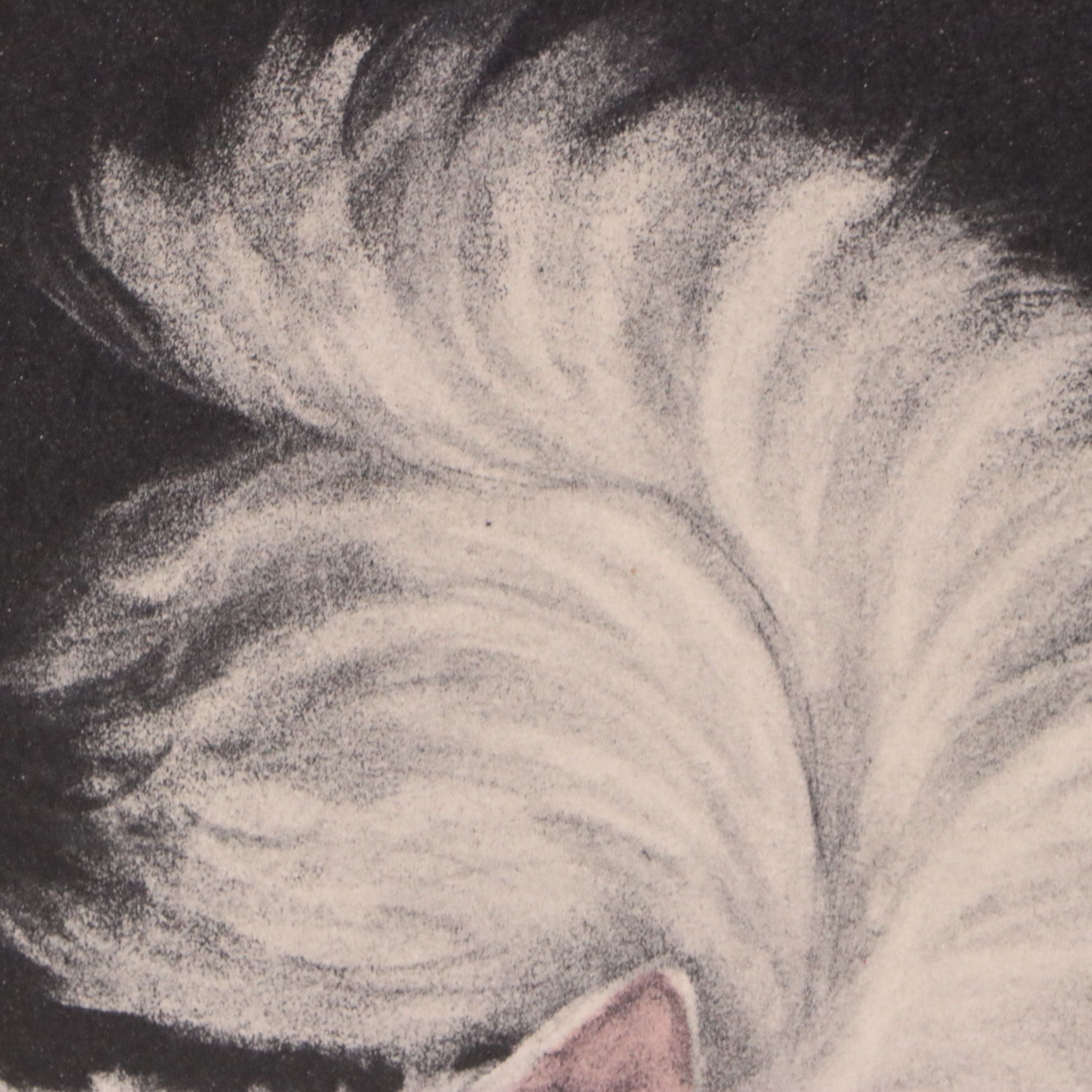 Lithograph After Gladys Emerson Cook of Pair of White Cats, Mid-20th Century