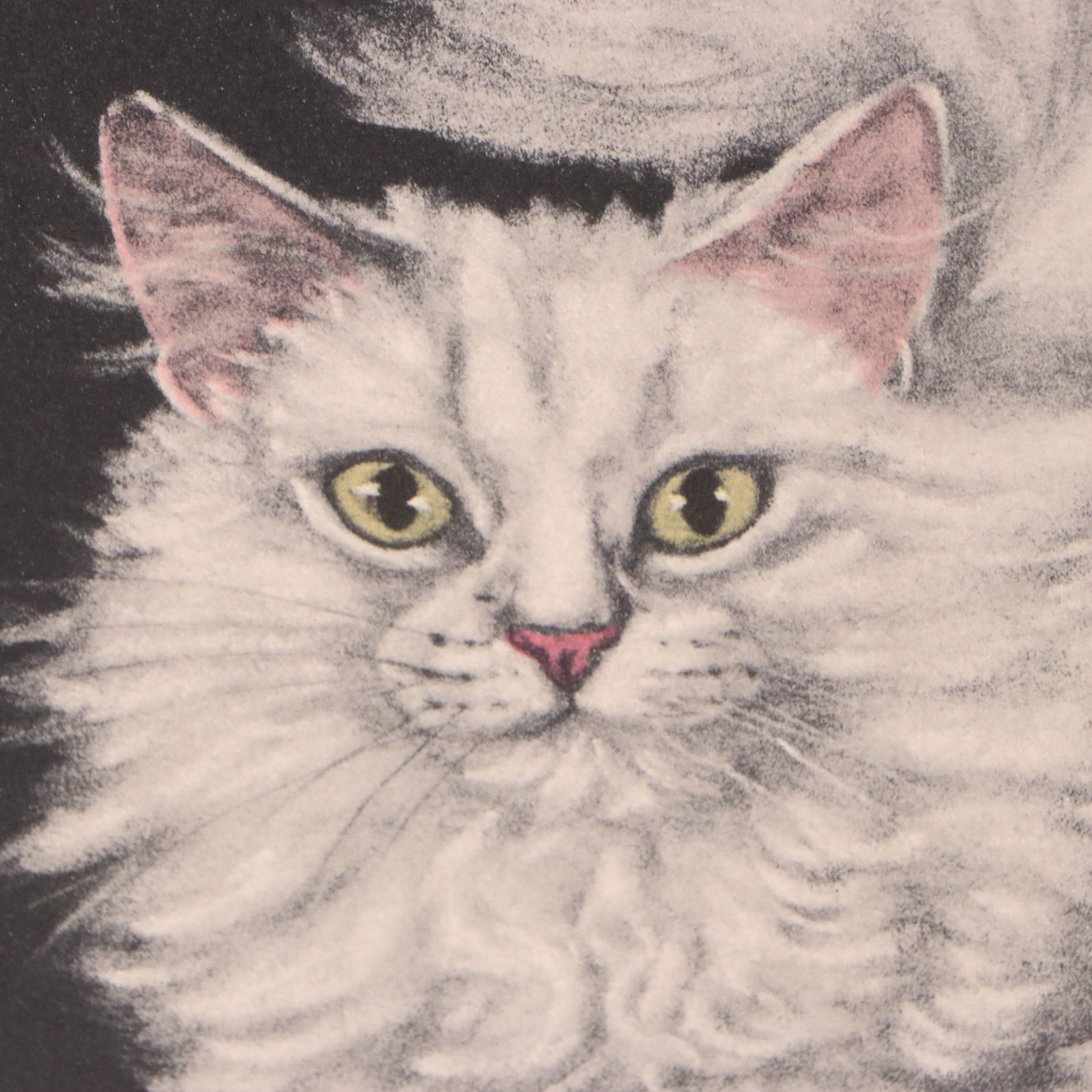 Lithograph After Gladys Emerson Cook of Pair of White Cats, Mid-20th Century