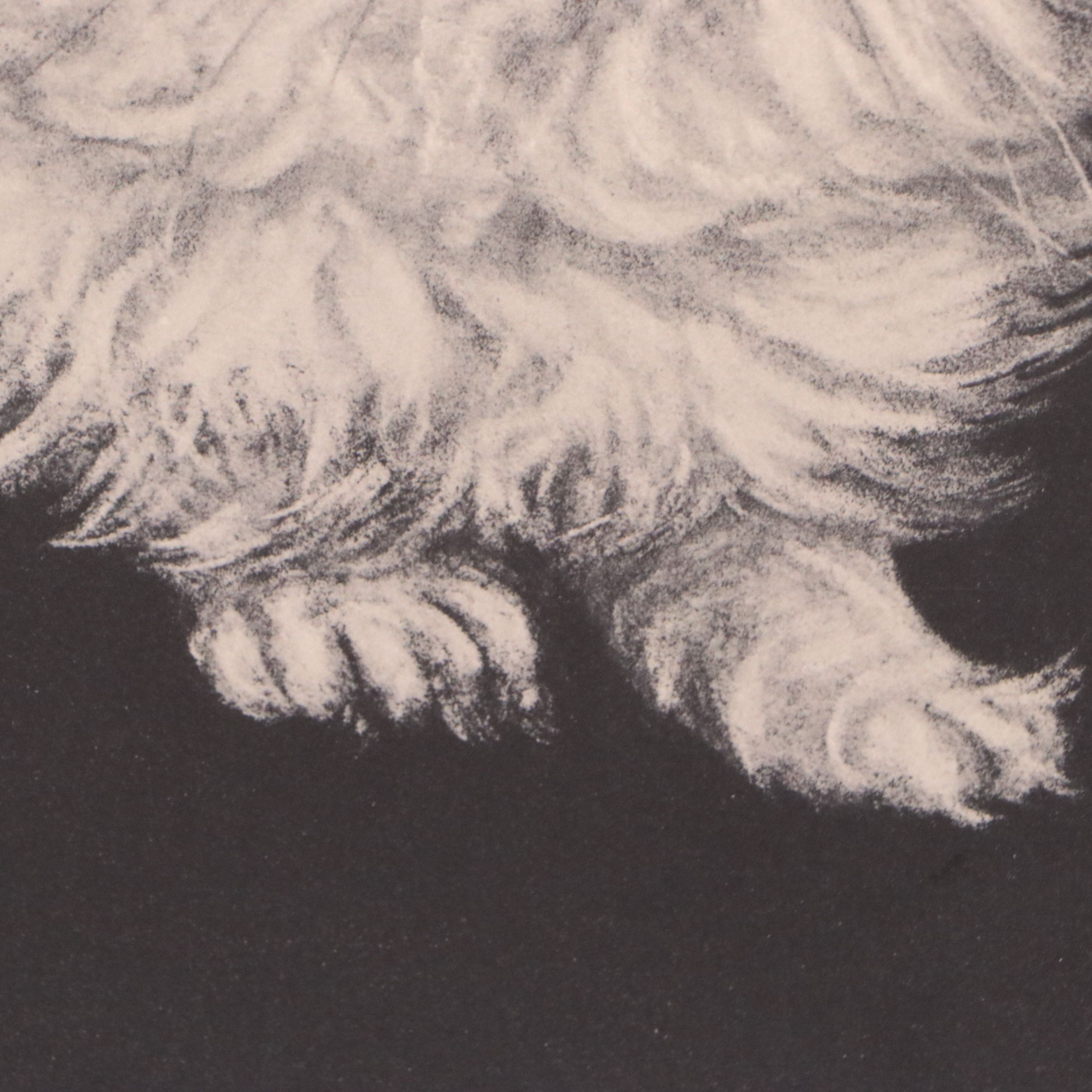 Lithograph After Gladys Emerson Cook of Pair of White Cats, Mid-20th Century