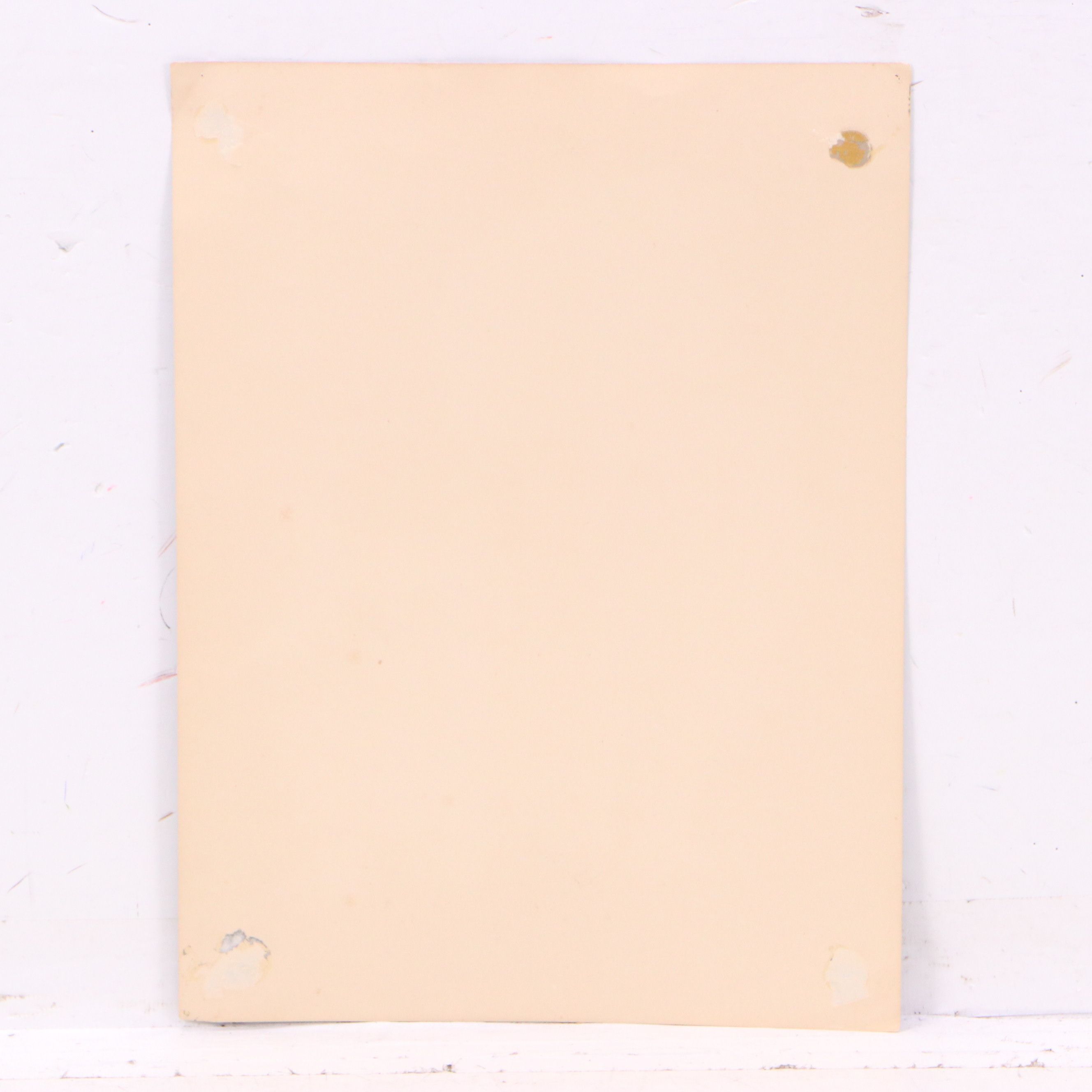 Lithograph After Gladys Emerson Cook of Pair of White Cats, Mid-20th Century