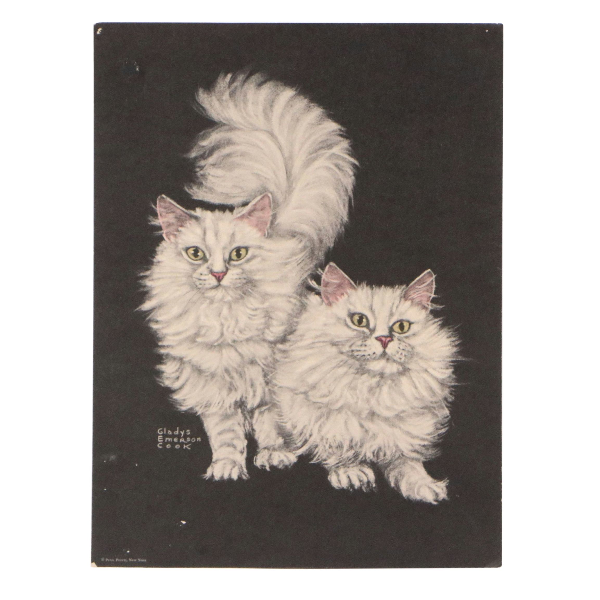 Lithograph After Gladys Emerson Cook of Pair of White Cats, Mid-20th Century