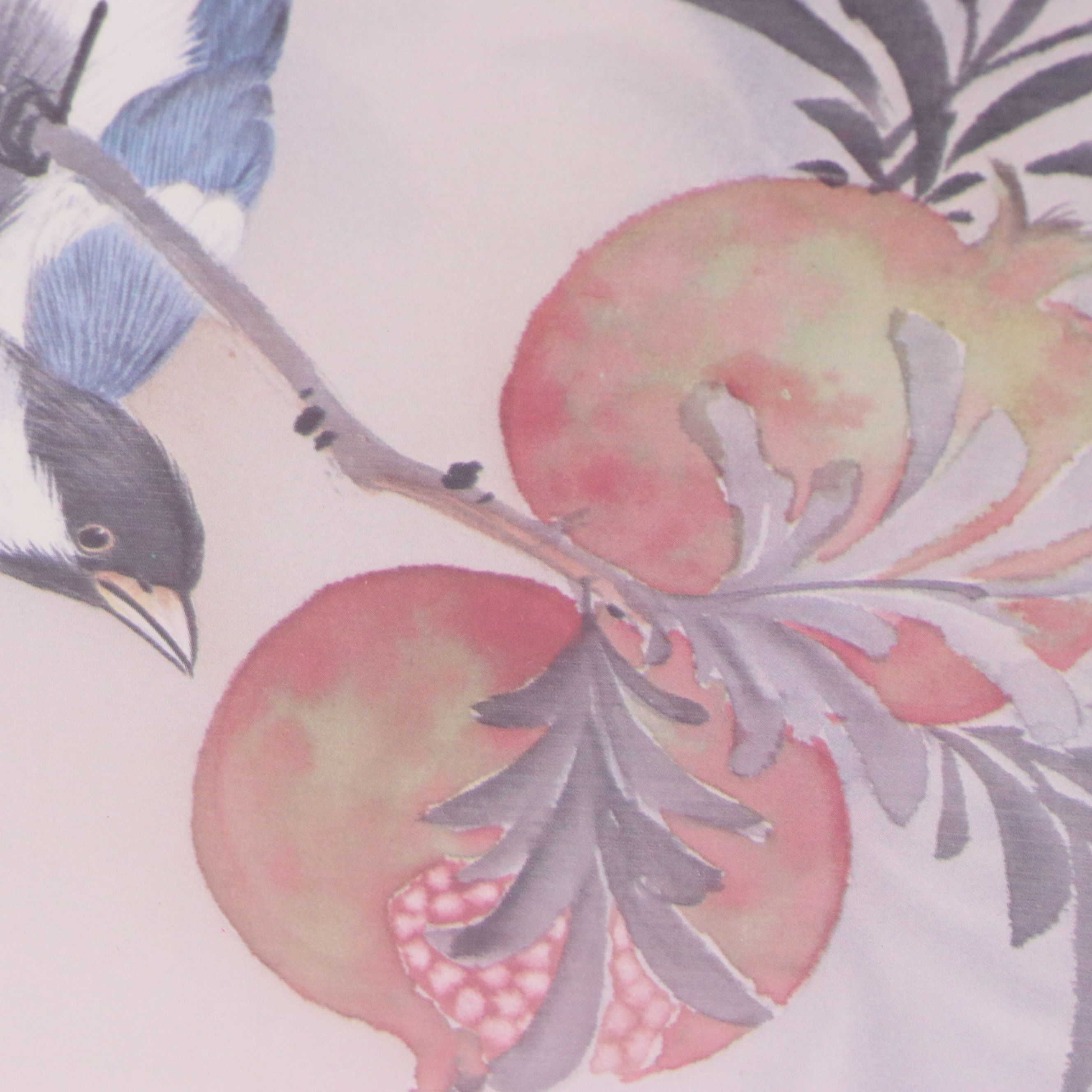 Offset Lithographs of Ornithological Studies, 20th to 21st Century