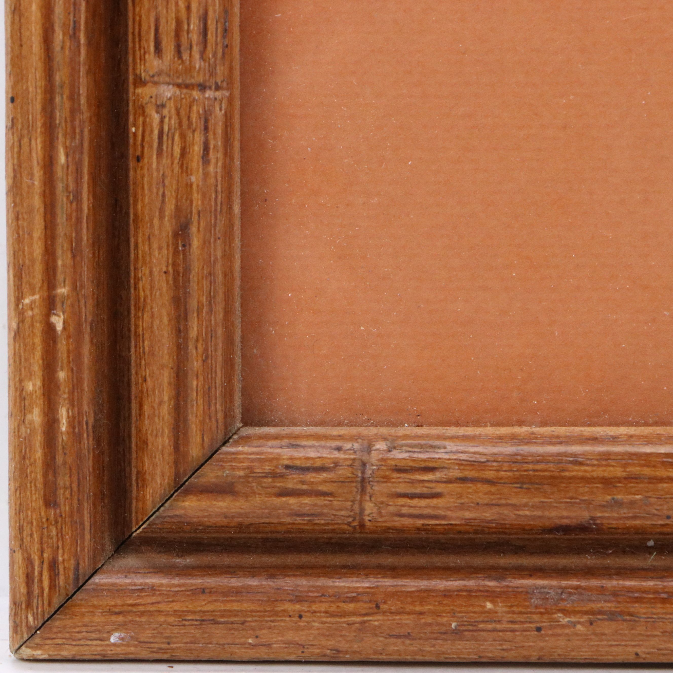 Offset Lithographs of Ornithological Studies, 20th to 21st Century