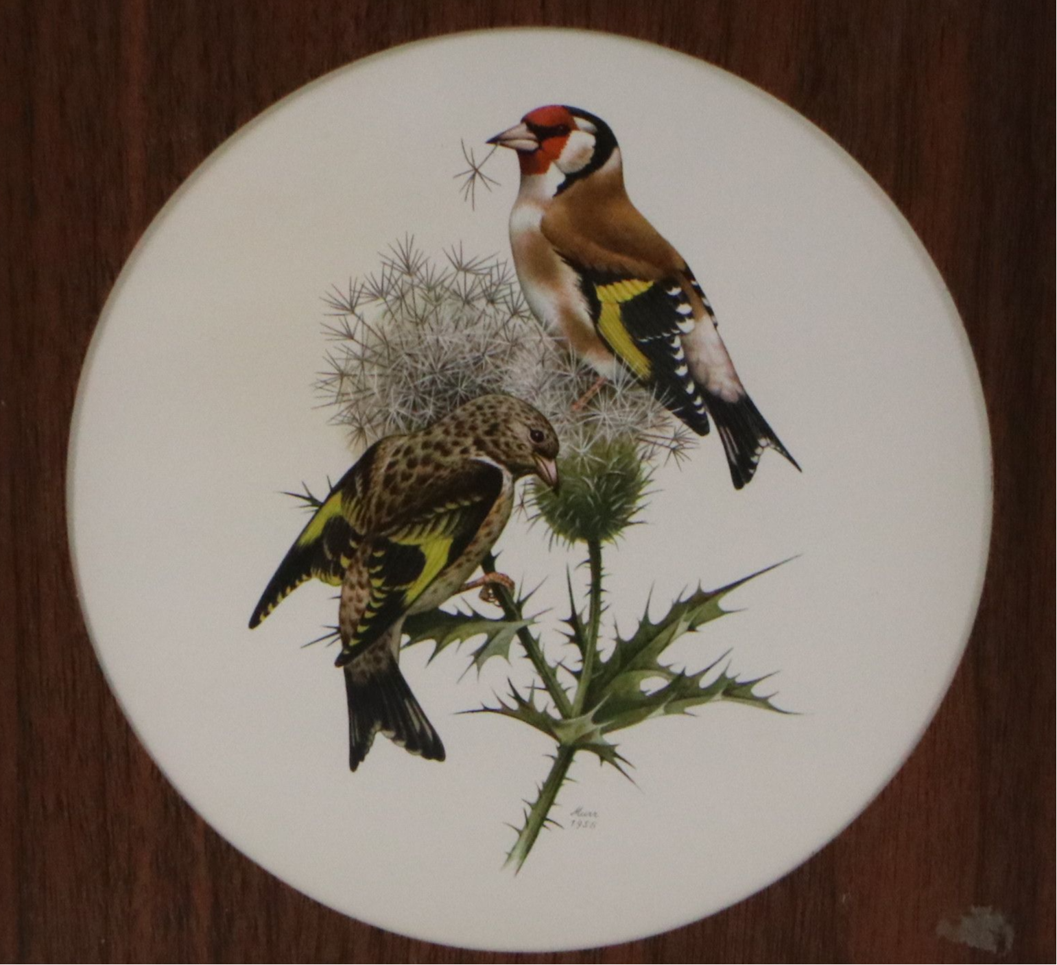 Offset Lithographs of Ornithological Studies, 20th to 21st Century