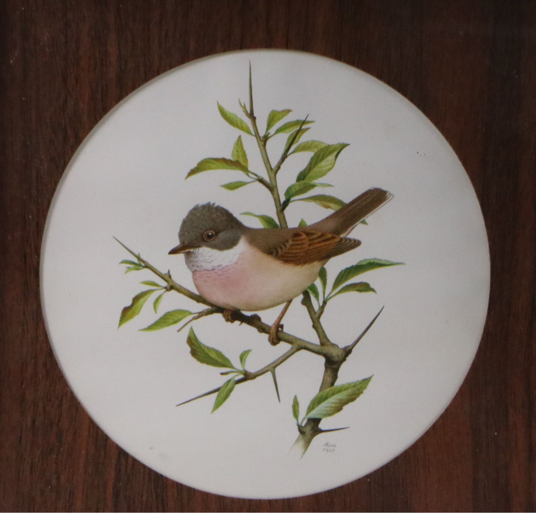 Offset Lithographs of Ornithological Studies, 20th to 21st Century