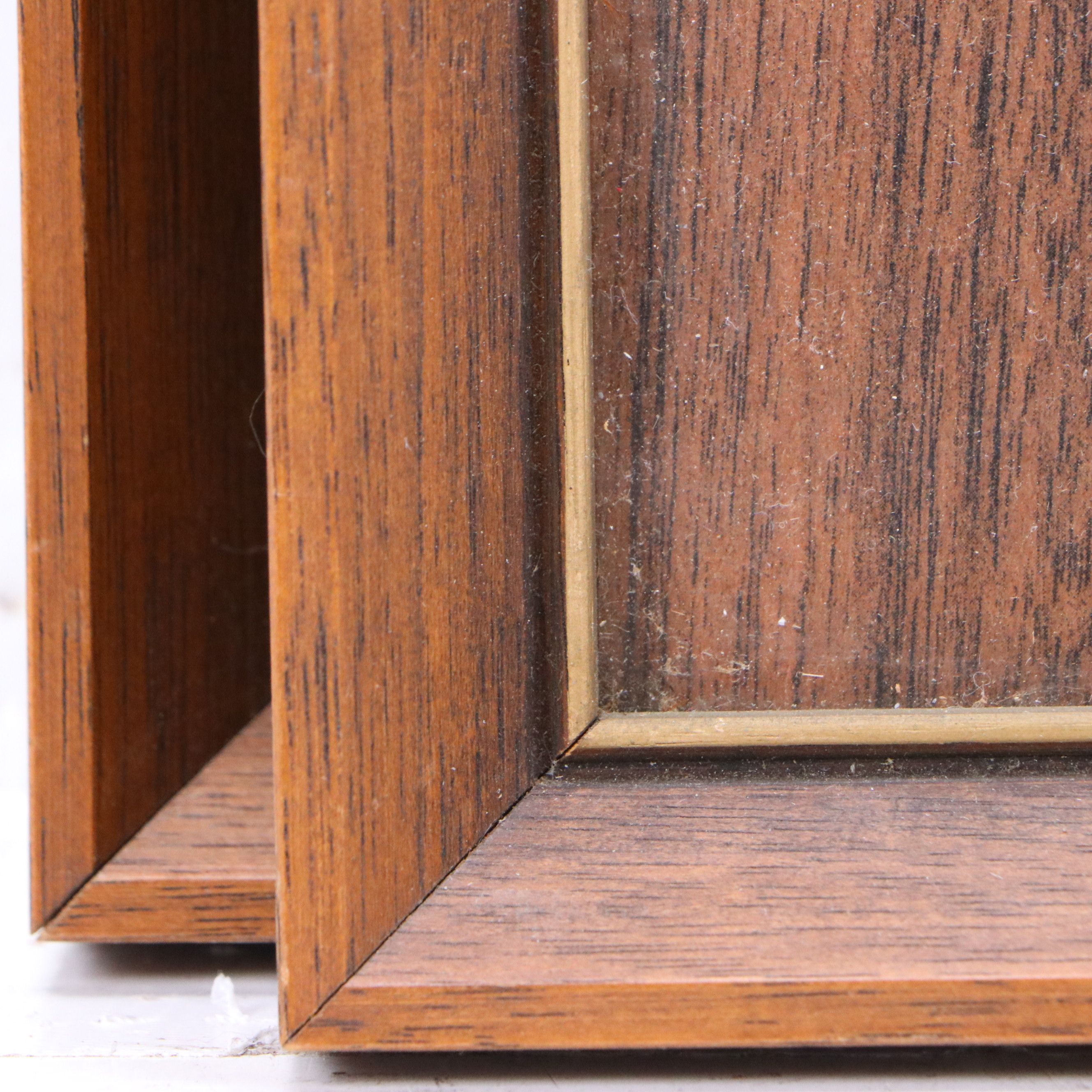 Offset Lithographs of Ornithological Studies, 20th to 21st Century