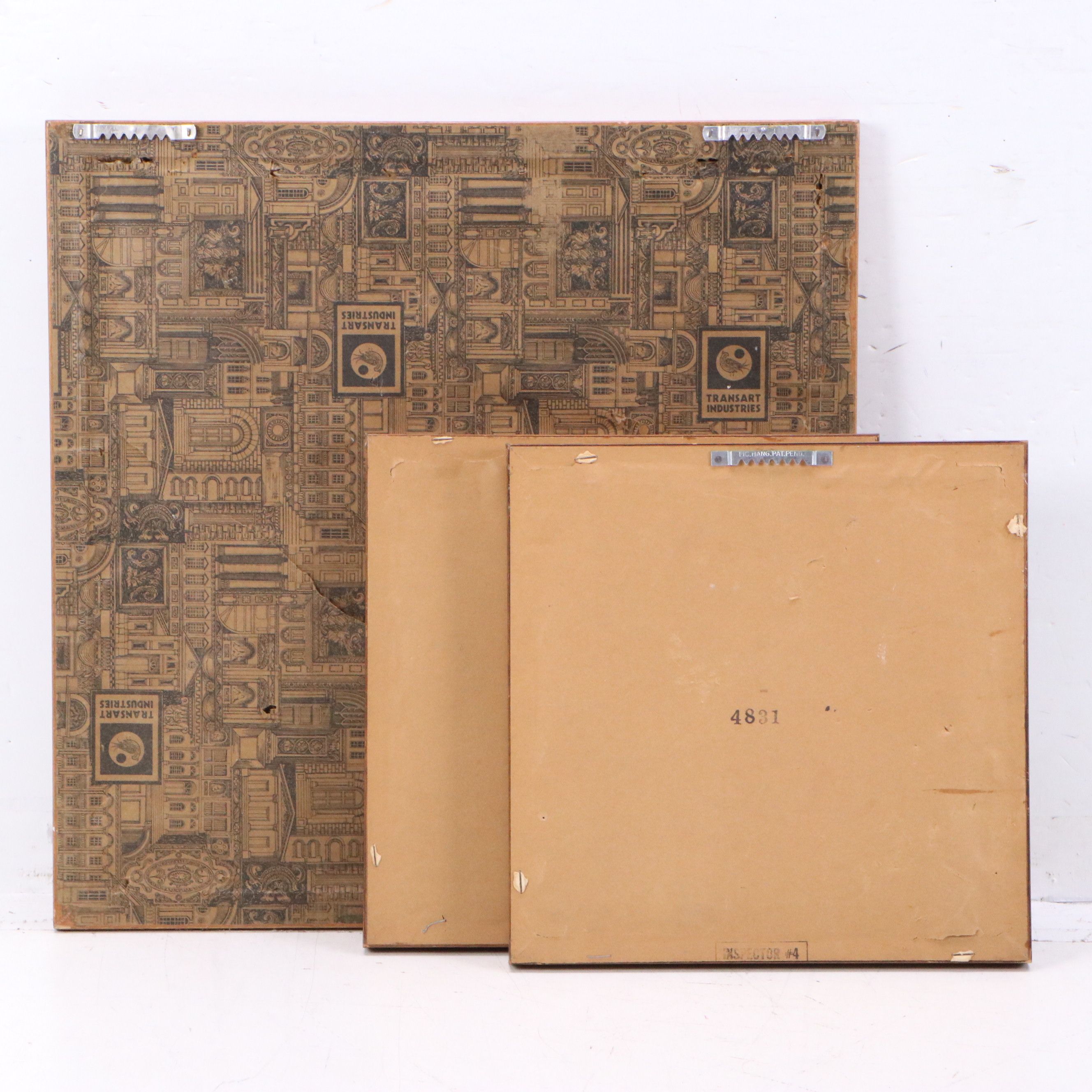 Offset Lithographs of Ornithological Studies, 20th to 21st Century