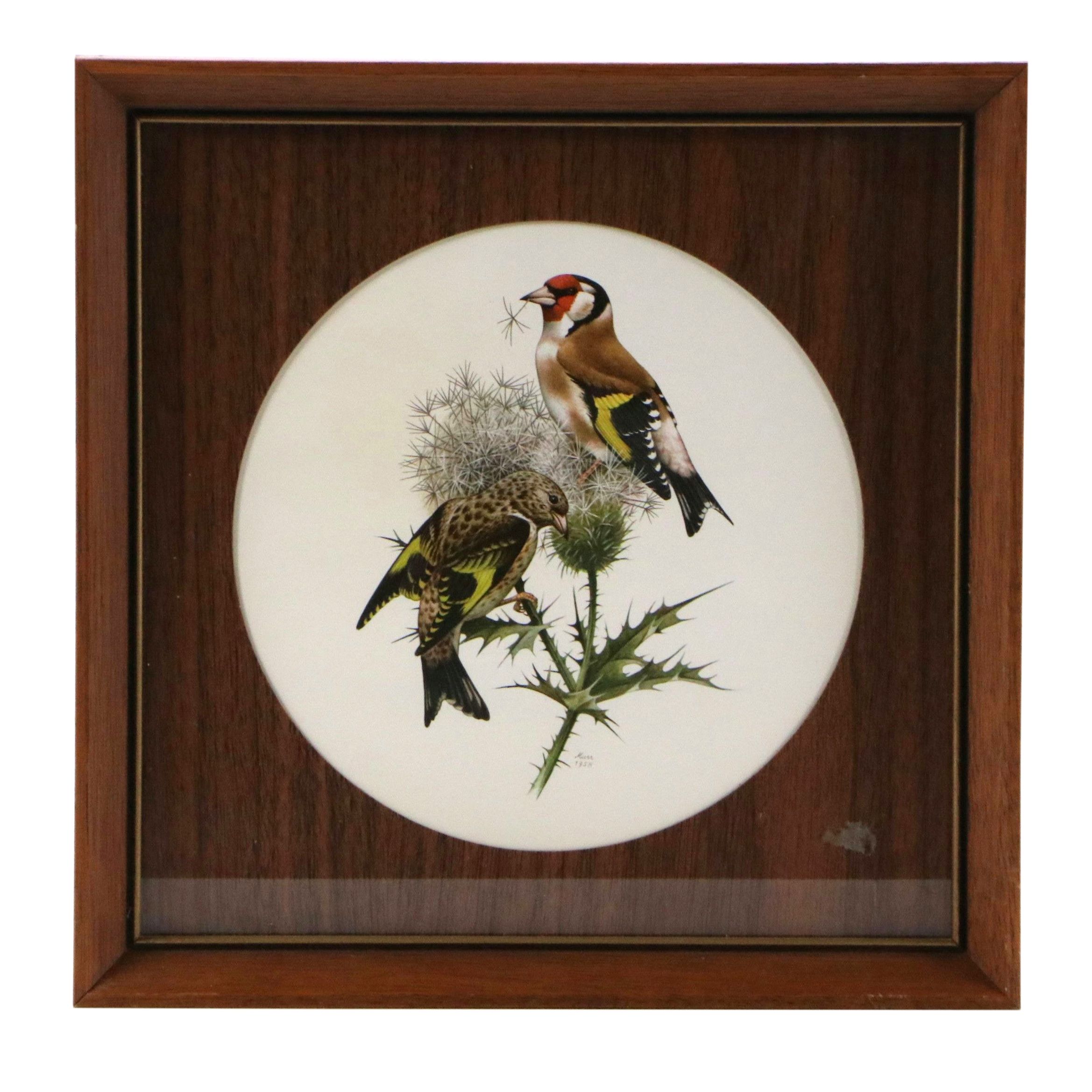 Offset Lithographs of Ornithological Studies, 20th to 21st Century