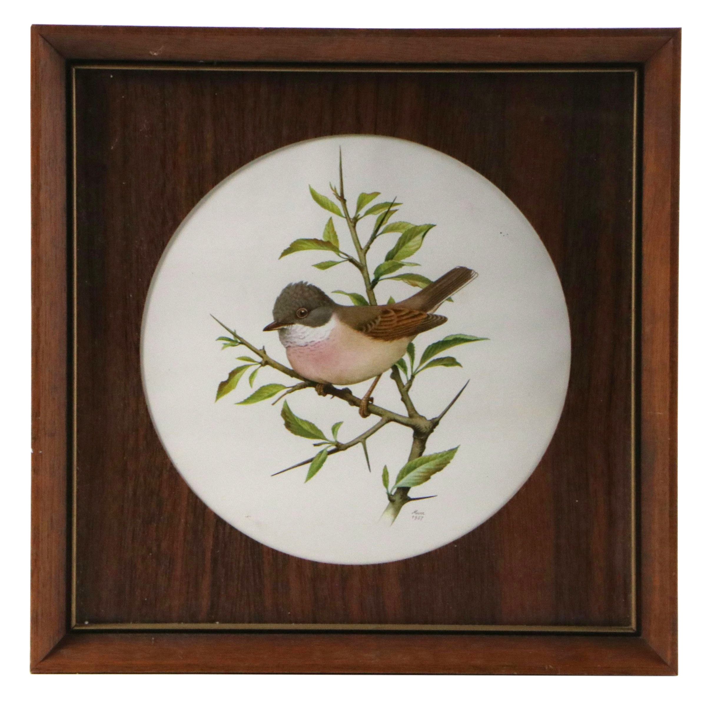 Offset Lithographs of Ornithological Studies, 20th to 21st Century