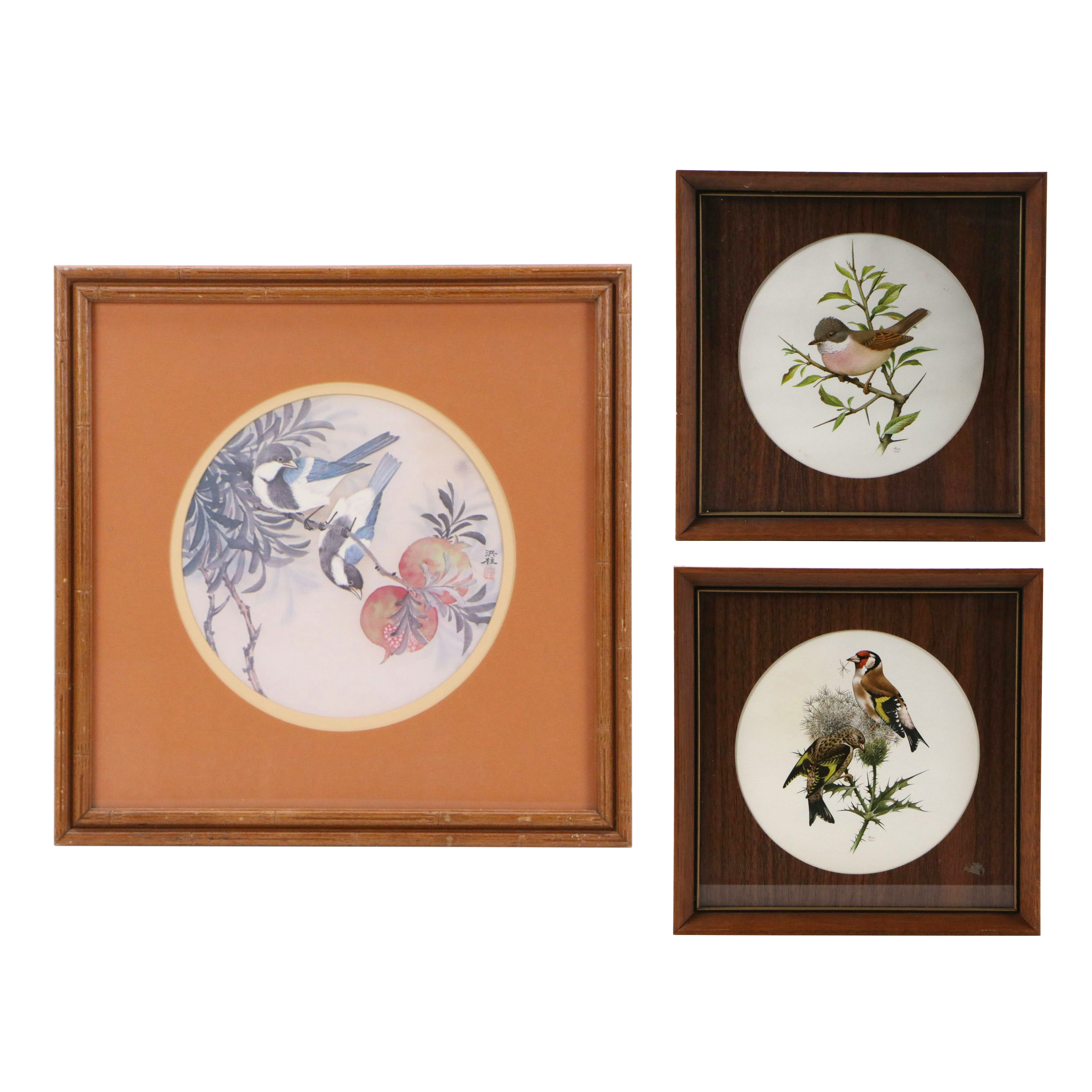 Offset Lithographs of Ornithological Studies, 20th to 21st Century