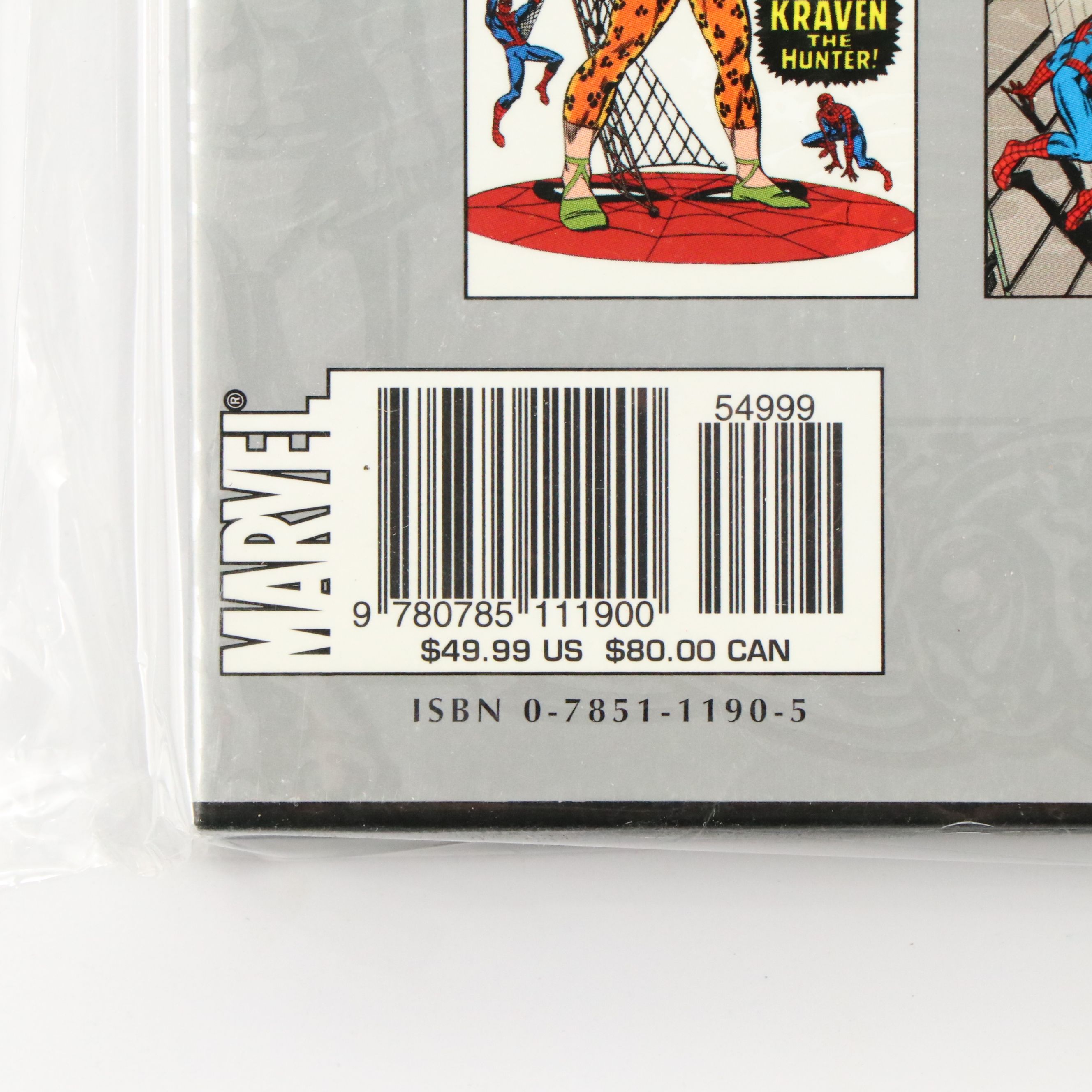 Marvel Masterworks "The Amazing Spider-Man" with More Modern Age Comic Books