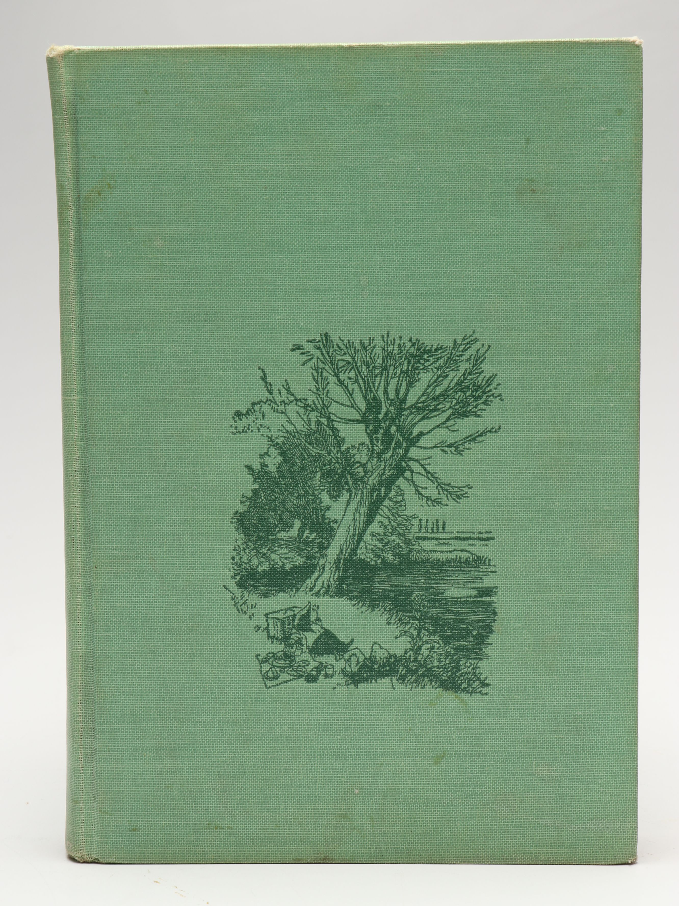 Illustrated Hans Christian Andersen "Fairy Tales" with More Children's Books