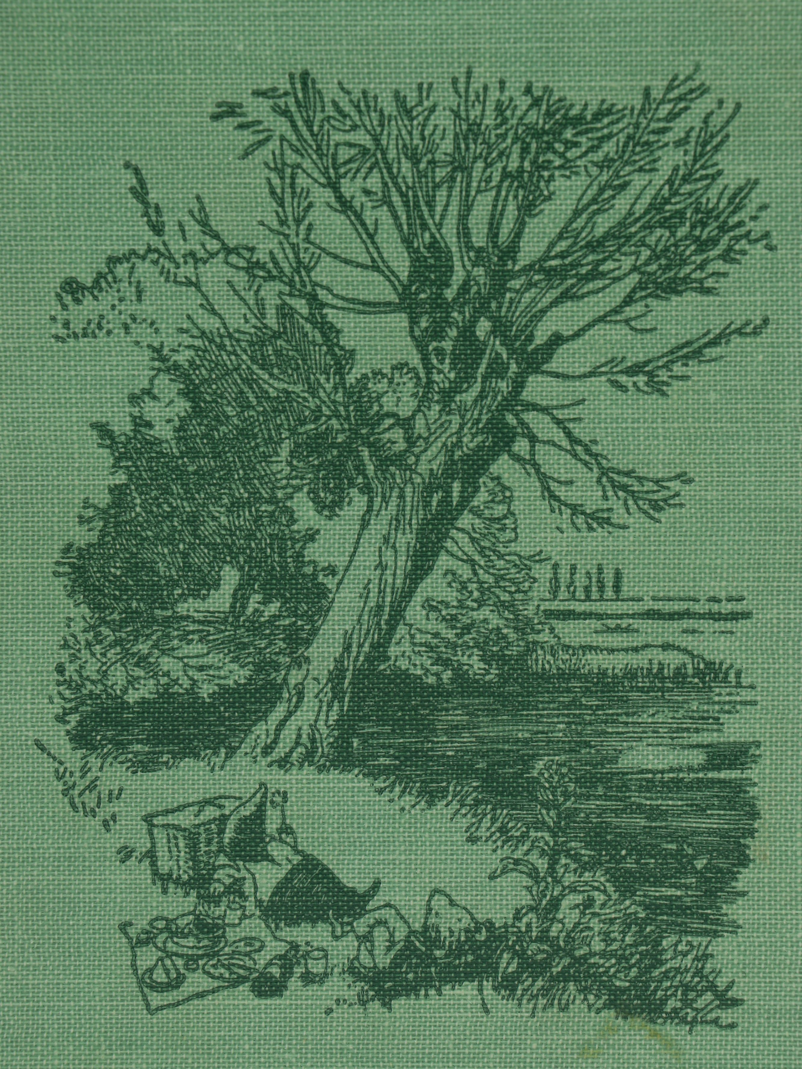 Illustrated Hans Christian Andersen "Fairy Tales" with More Children's Books