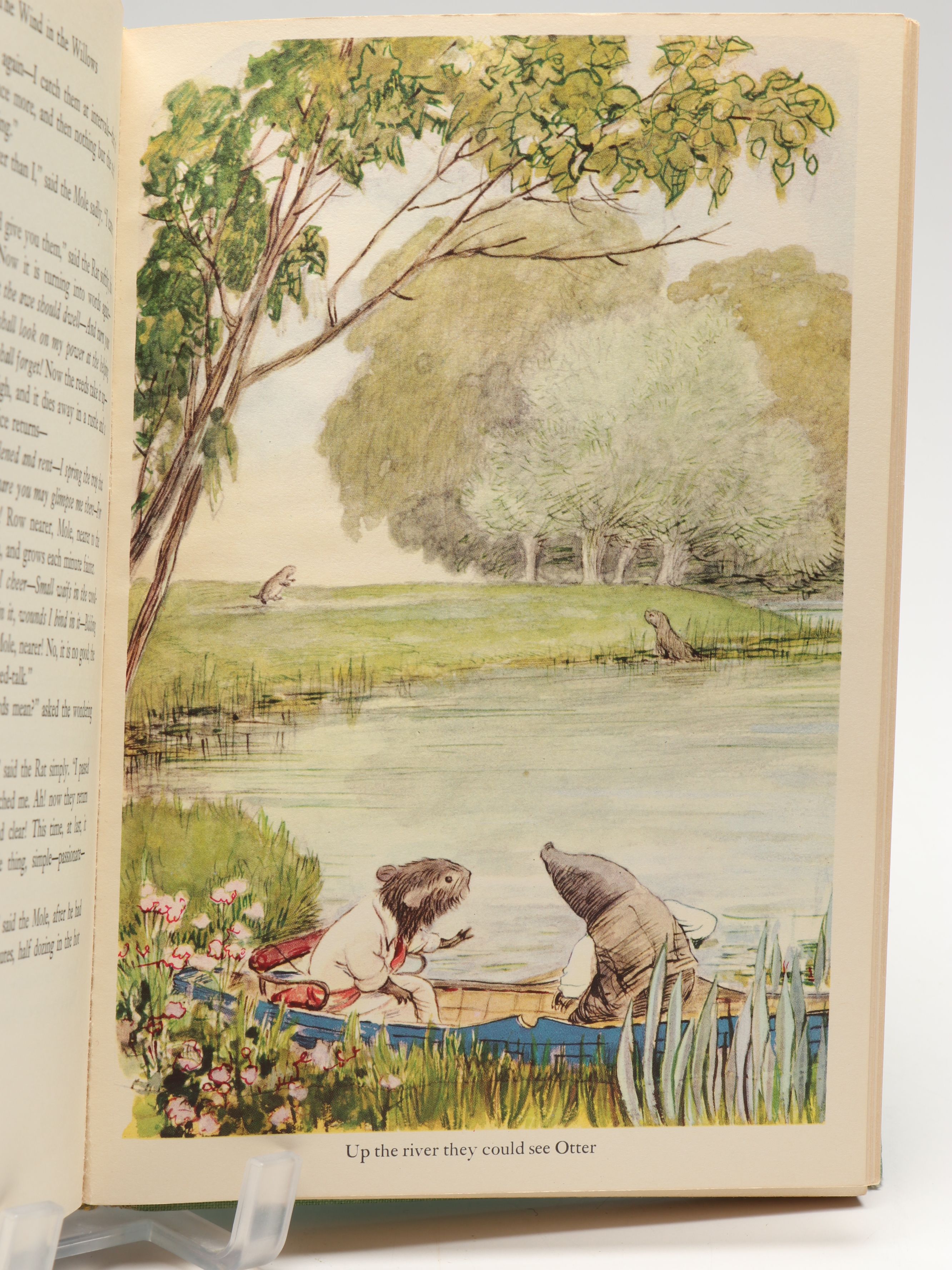 Illustrated Hans Christian Andersen "Fairy Tales" with More Children's Books