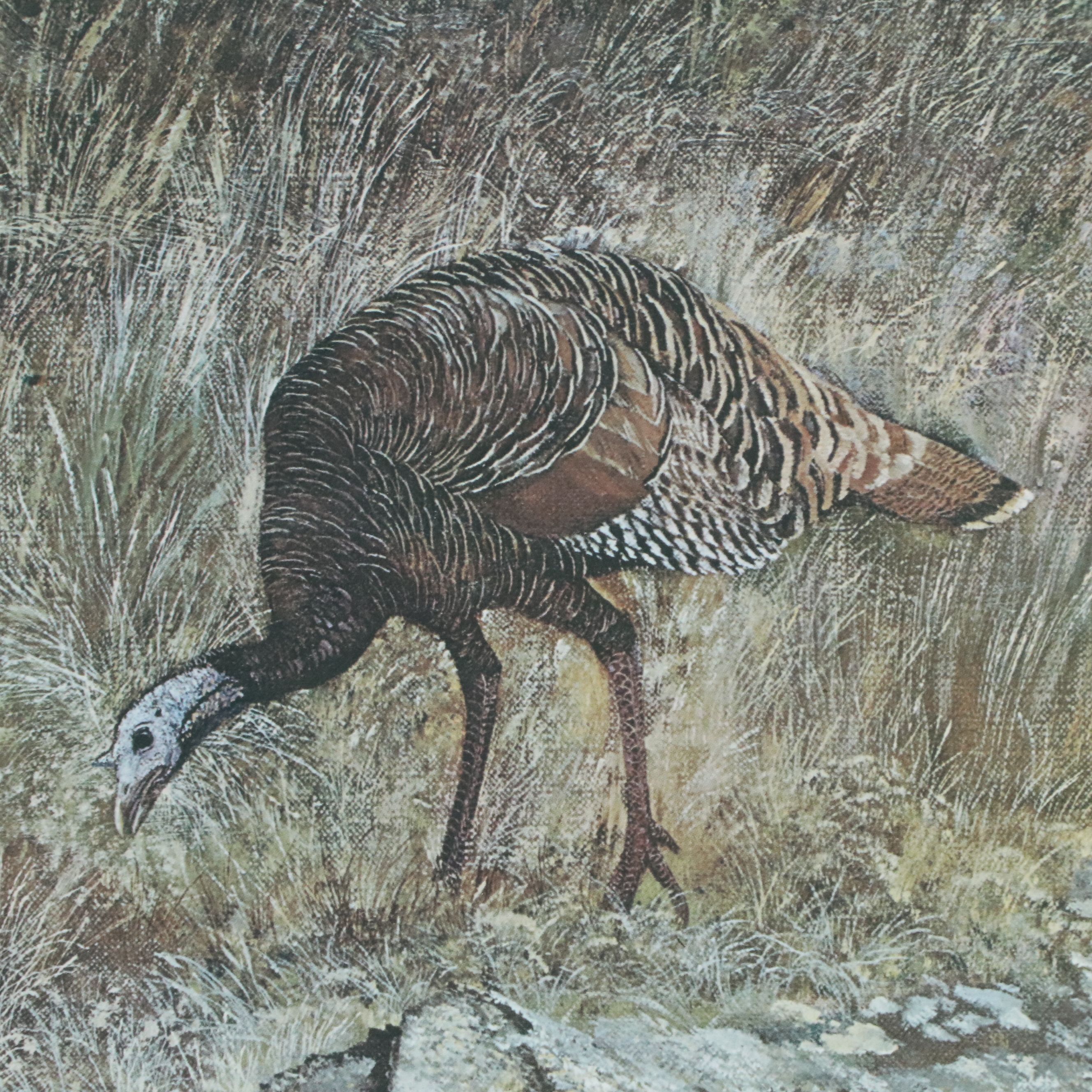Offset Lithograph After Travis Keese "Wild Turkey," Mid-20th to 21st Century