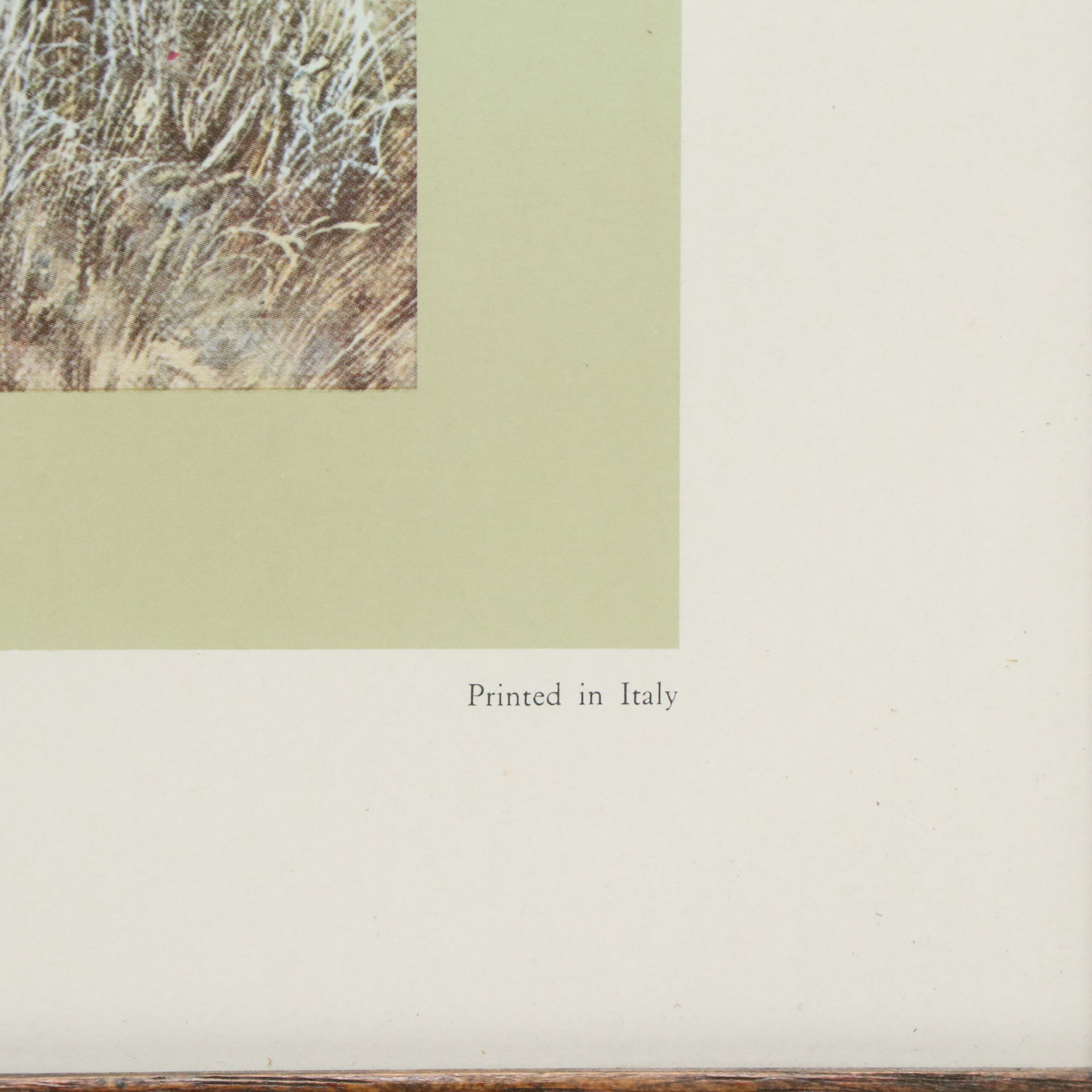 Offset Lithograph After Travis Keese "Wild Turkey," Mid-20th to 21st Century