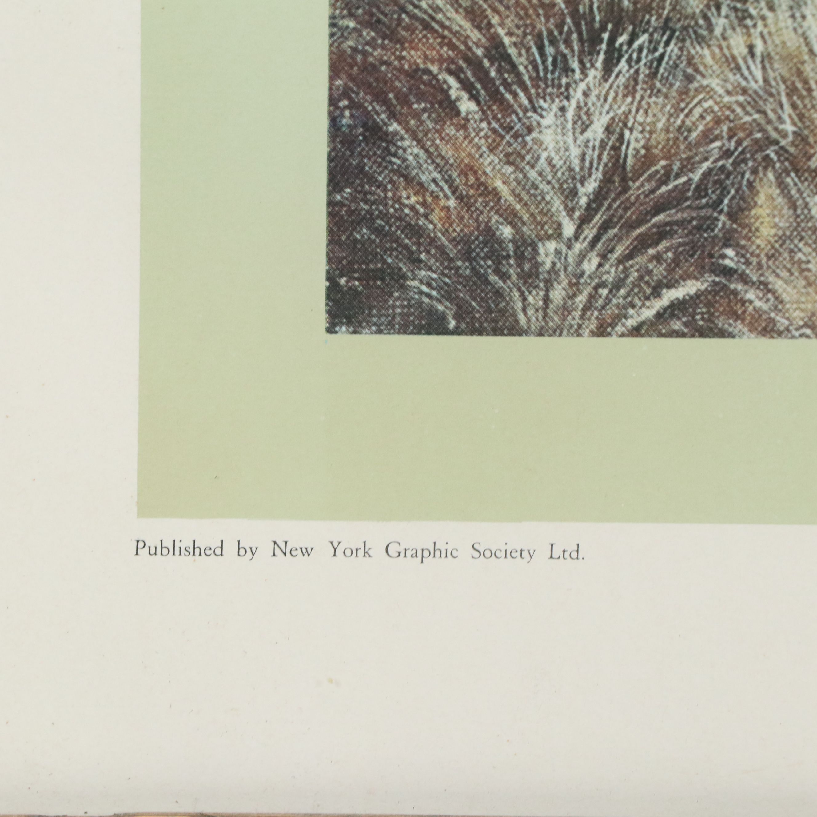Offset Lithograph After Travis Keese "Wild Turkey," Mid-20th to 21st Century